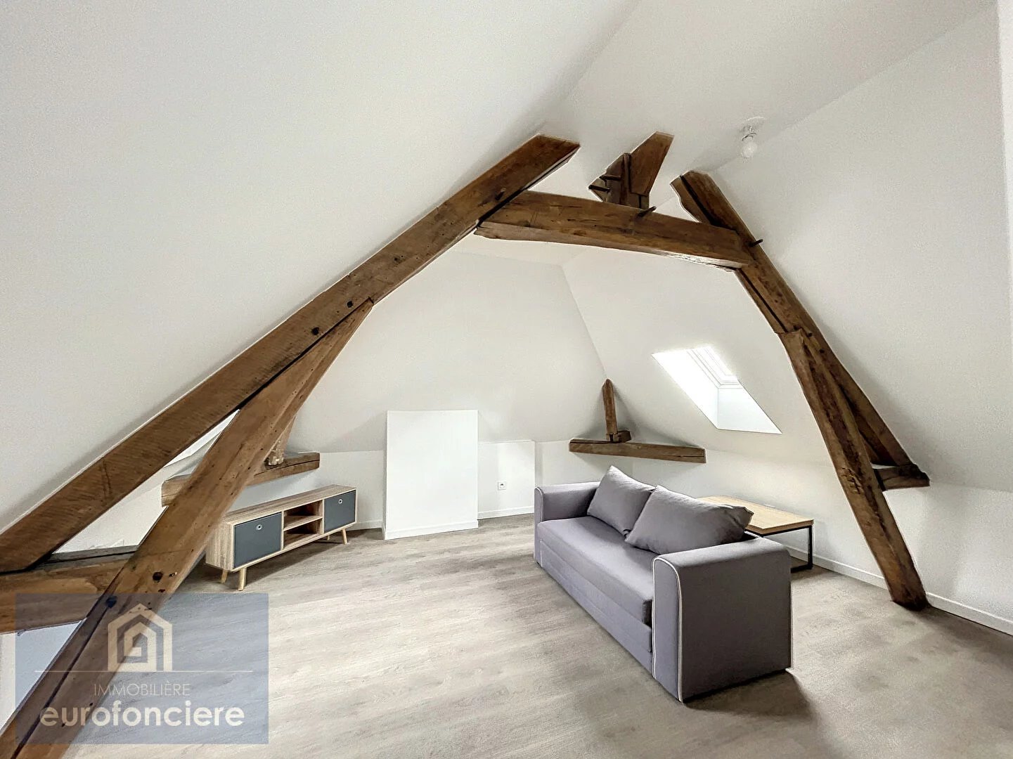 APPARTEMENT EN DUPLEX MEUBLE A TROYES - 3 pièces