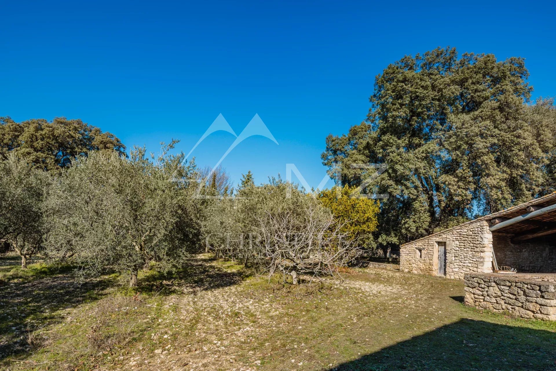3 Bedroom Villa/Townhouse's Image 3