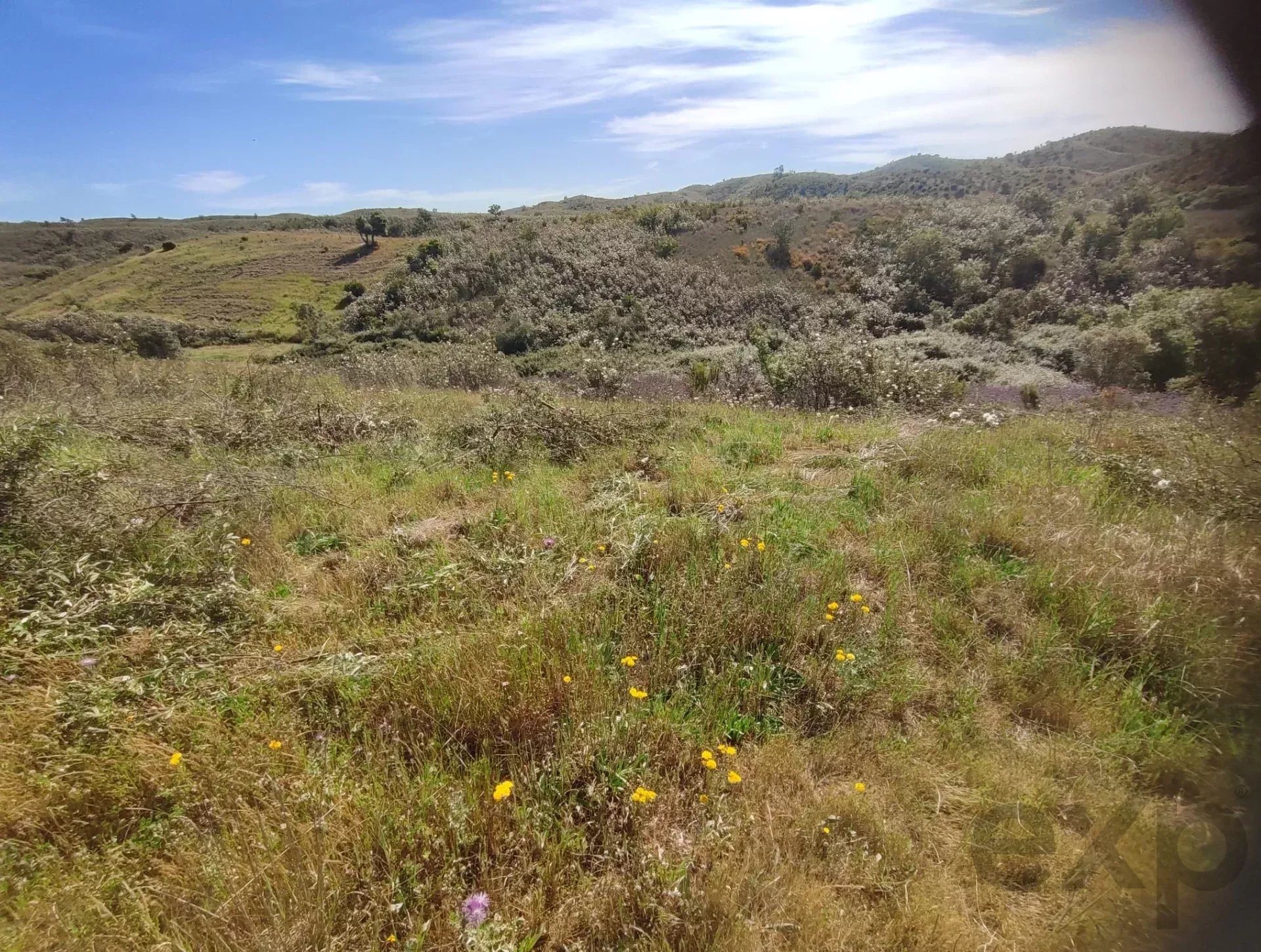 1.13 Hectares: Potential for Luxury Housing or Elite Tourist Project 8375-200 image 6