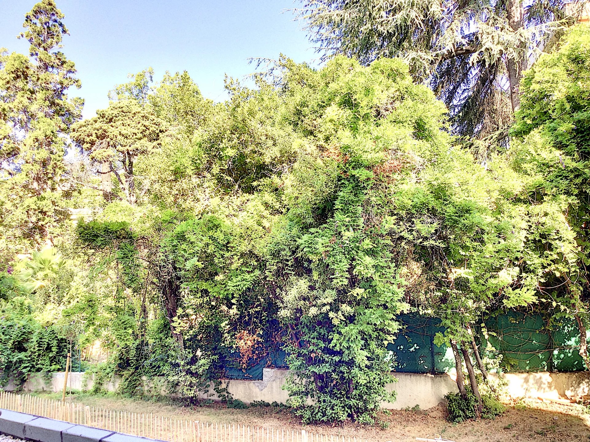 Rental Apartment Cannes