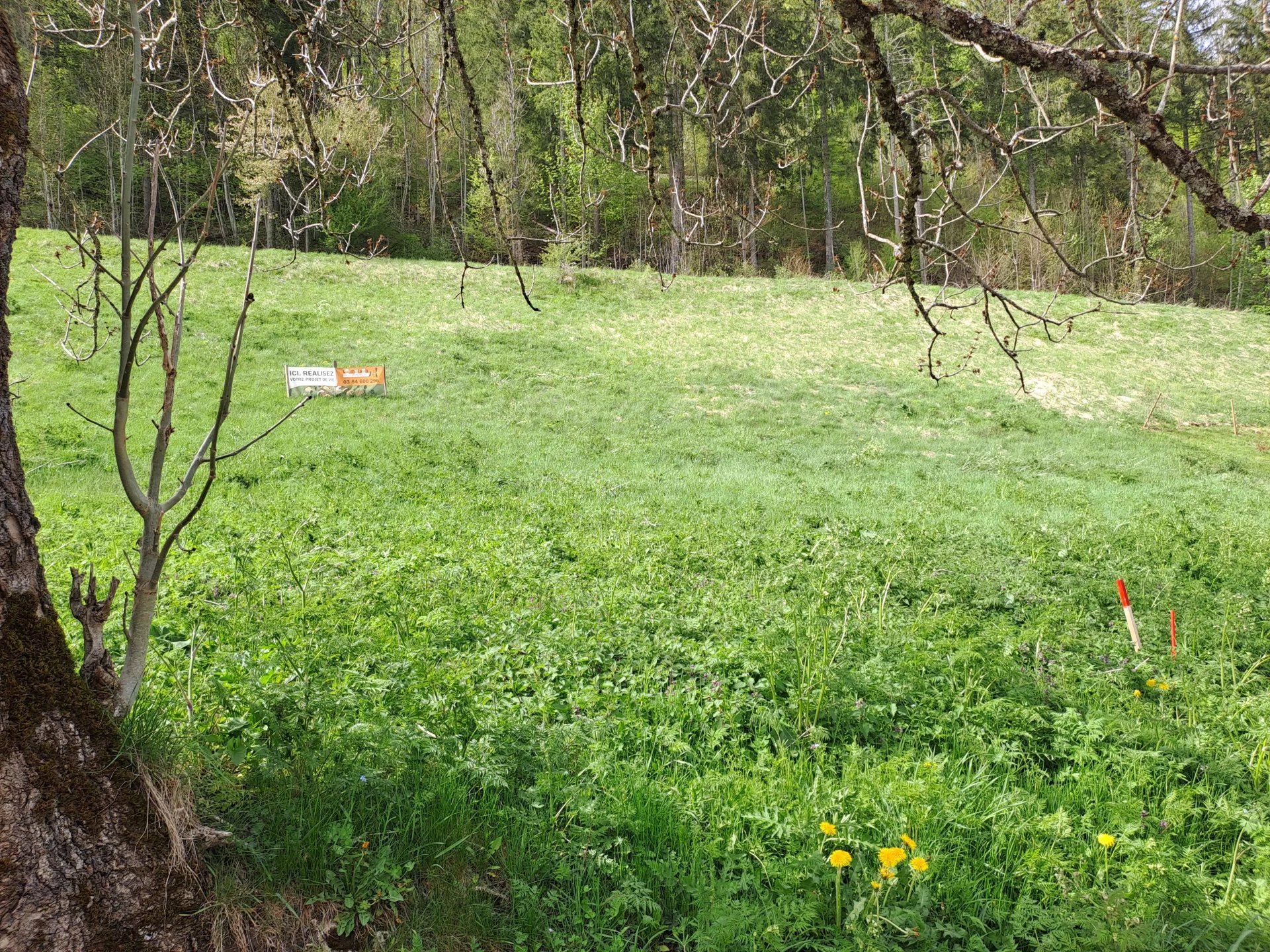 Vente Terrain Lajoux