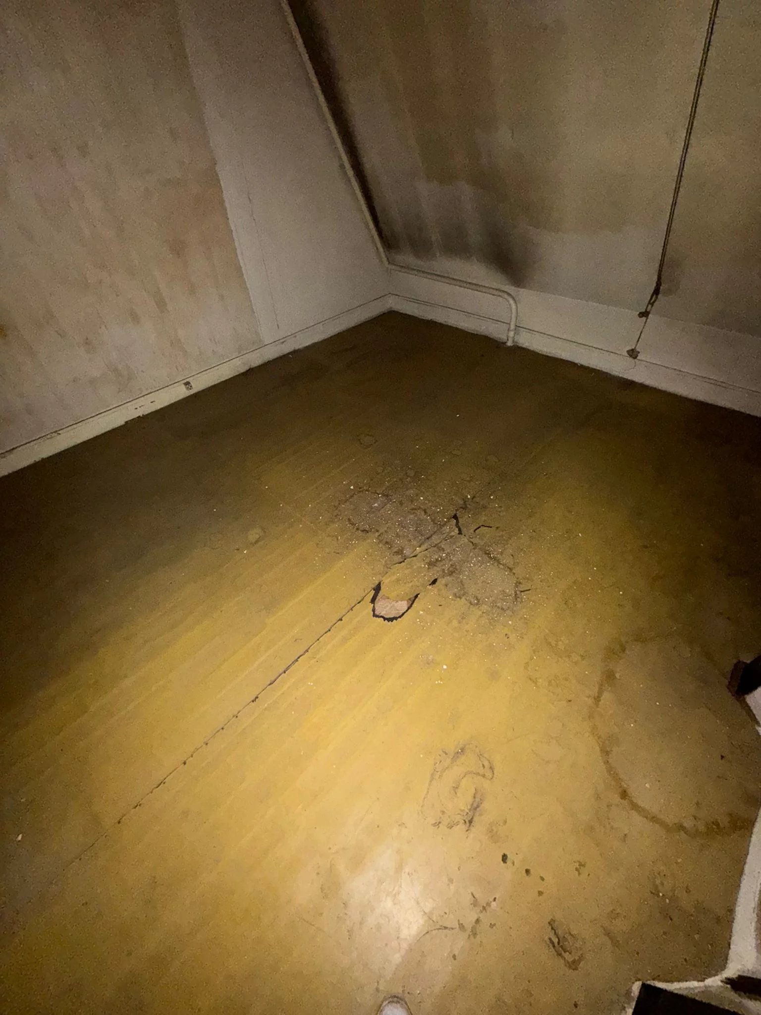 Studio de 14,29m²  Avenue Victor Hugo, Paris 16?