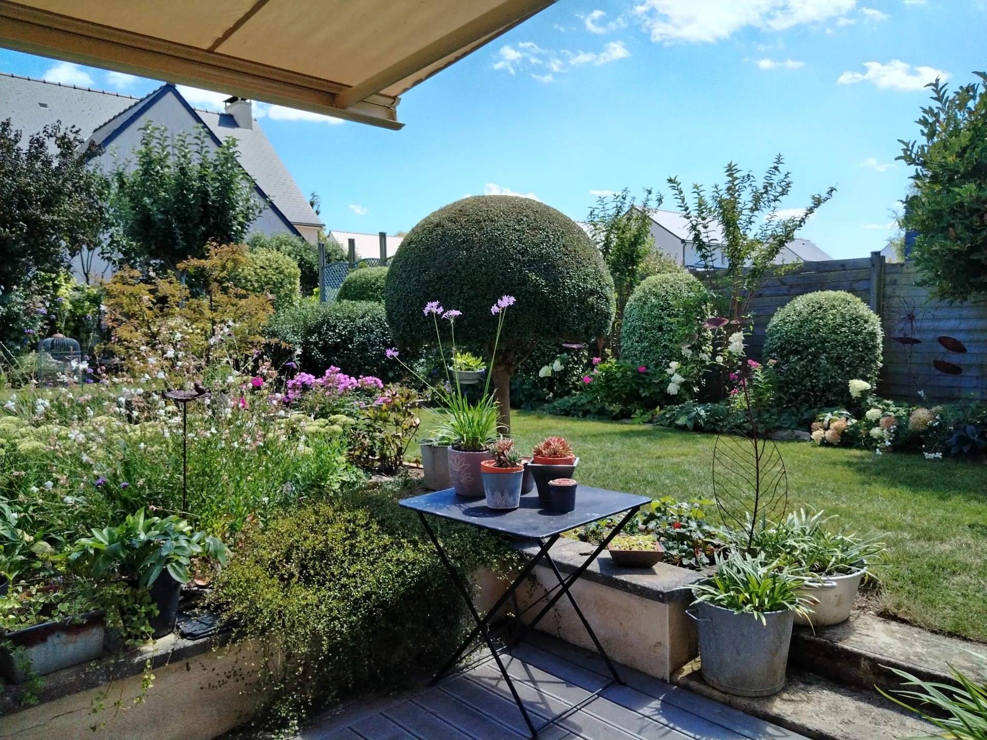 NOUVEAUTE  SAINT-SAMSON-SUR -RANCE