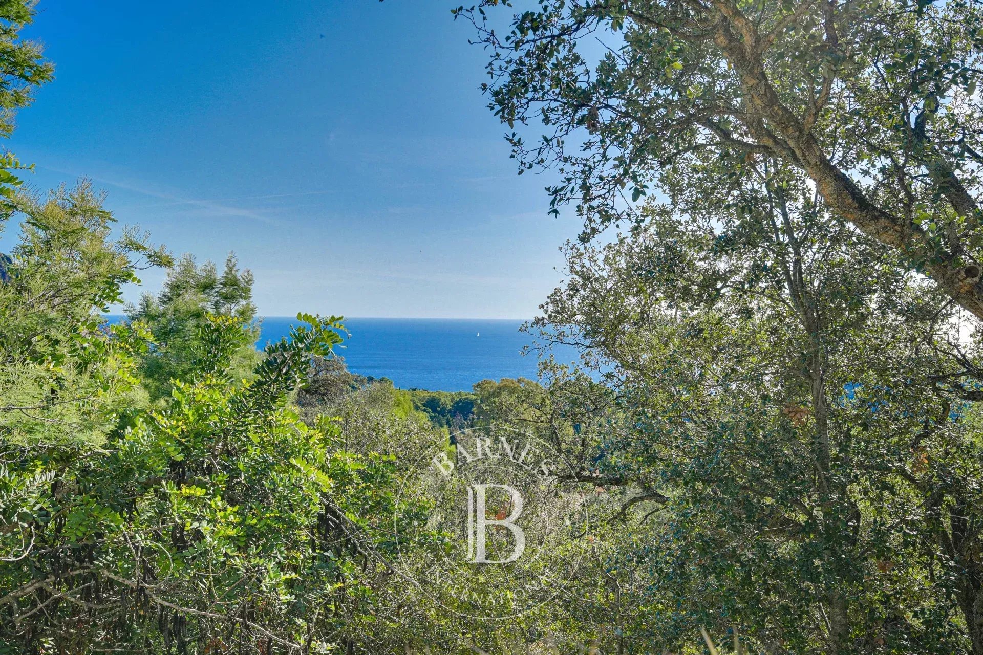 Arsa Begur - picture 5