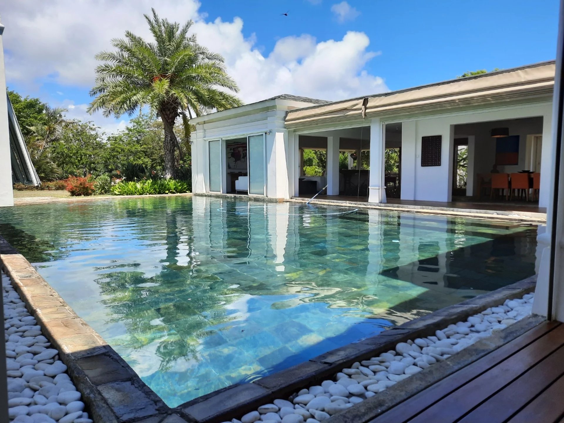 Ev Calodyne - picture 13