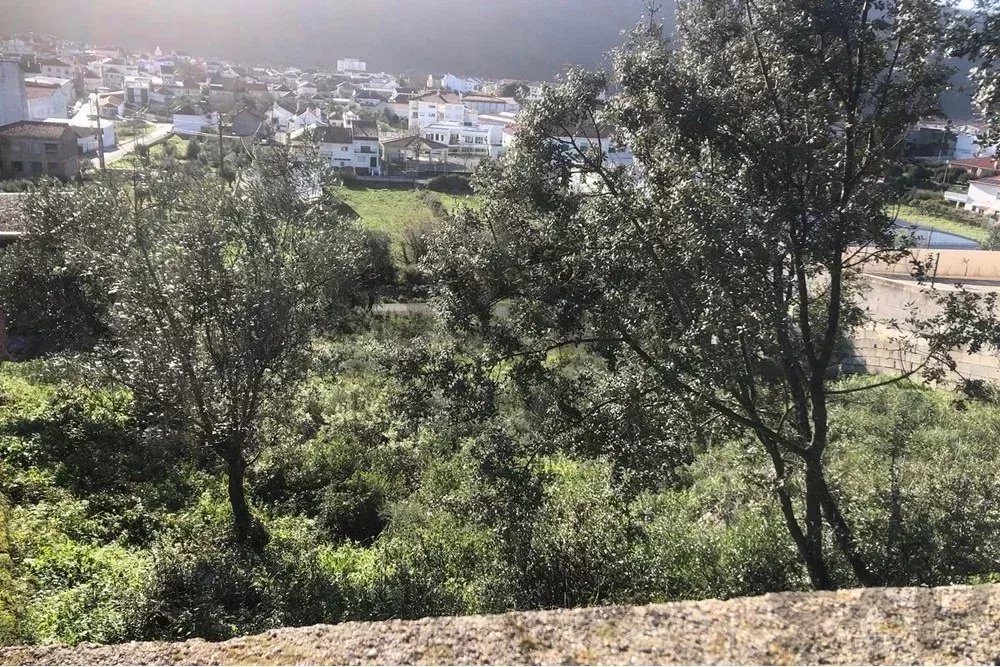 "Invista no Lote Ideal em Minde, Santarém" -  Valor Negociável