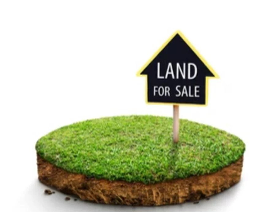 🌲 Prime Land for Sale in Mayrouba – 2,000 SQM 🏞️
