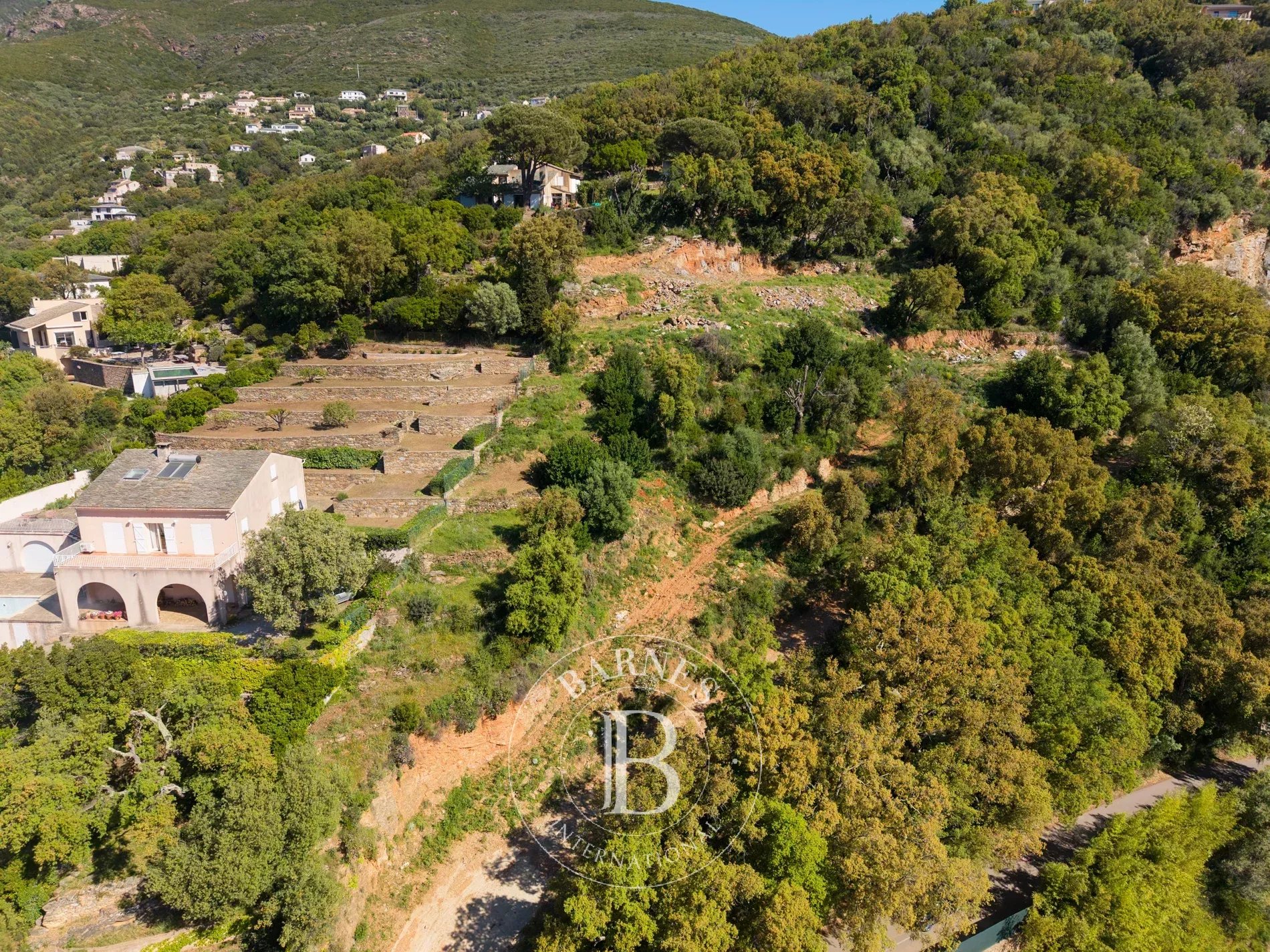 Santa-Maria-di-Lota  - Terrain constructible  - picture 7