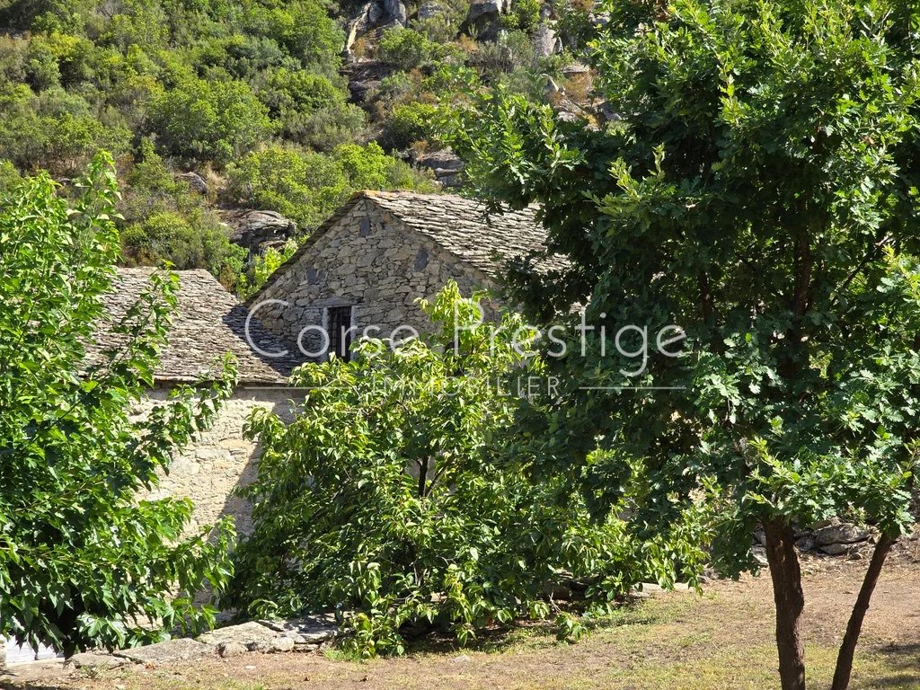 stone mill by the river for sale - nebbiu - saint florent - north corsica image1