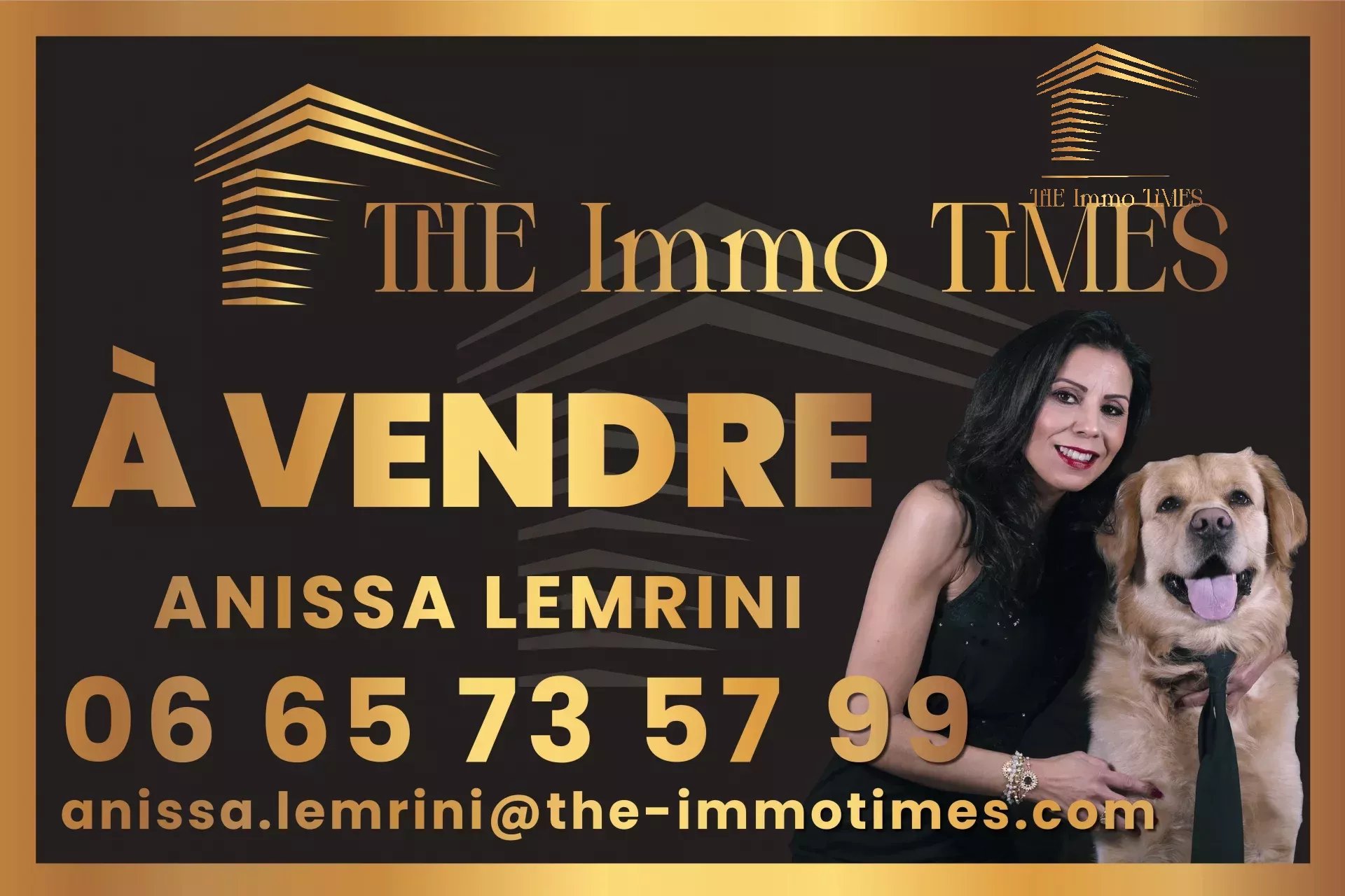 Agence immobilière de The Immo Times