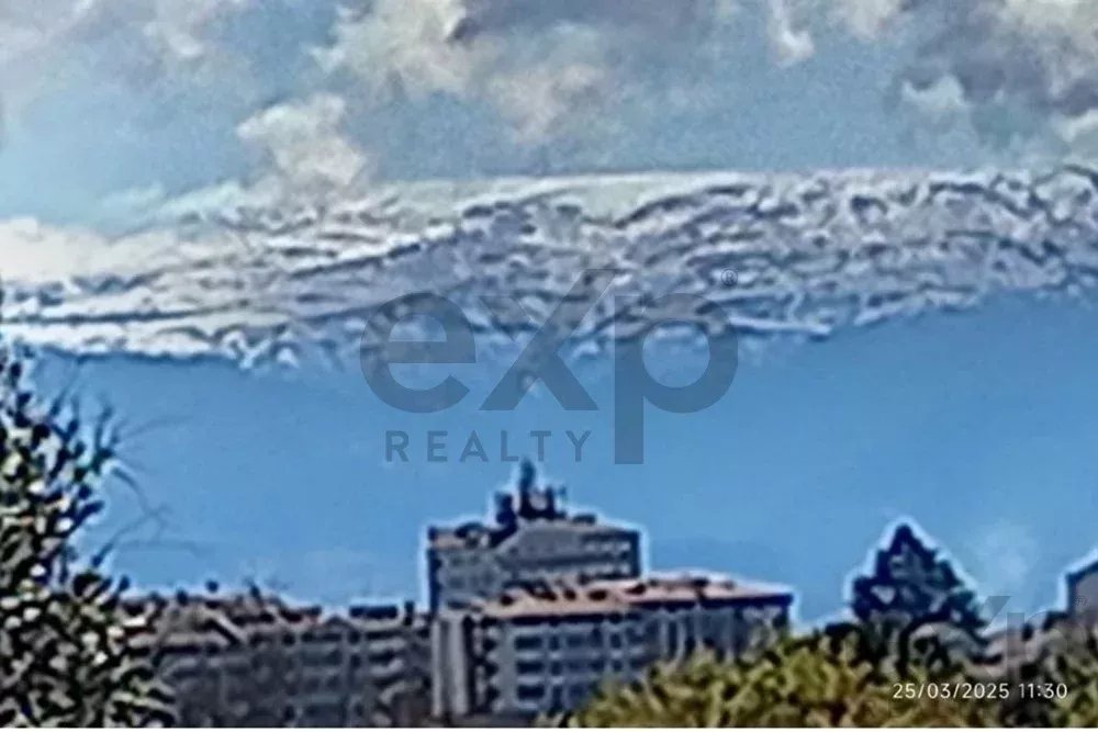 Quintinha com prédio em Nelas