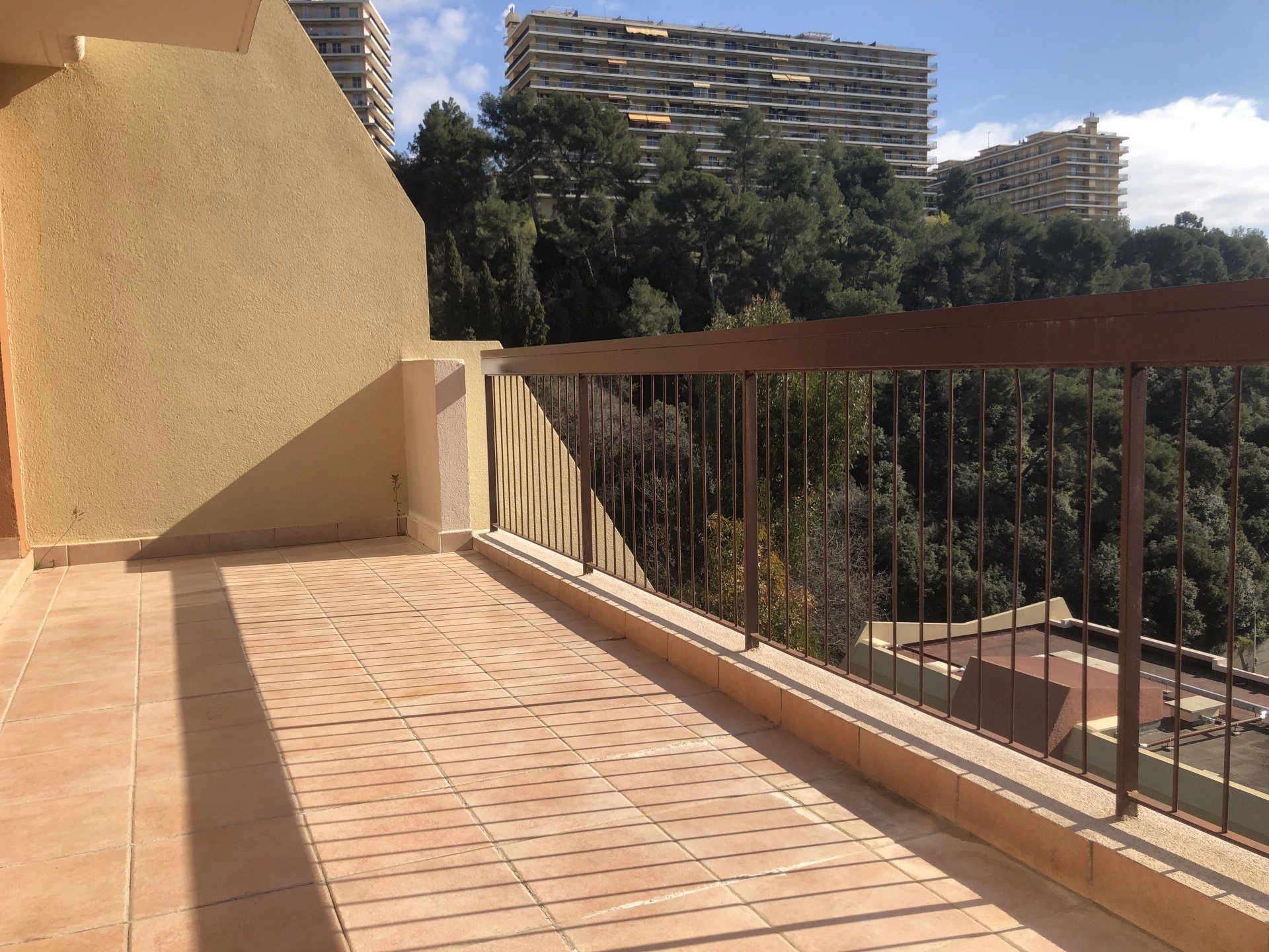 Location Appartement Nice Fabron
