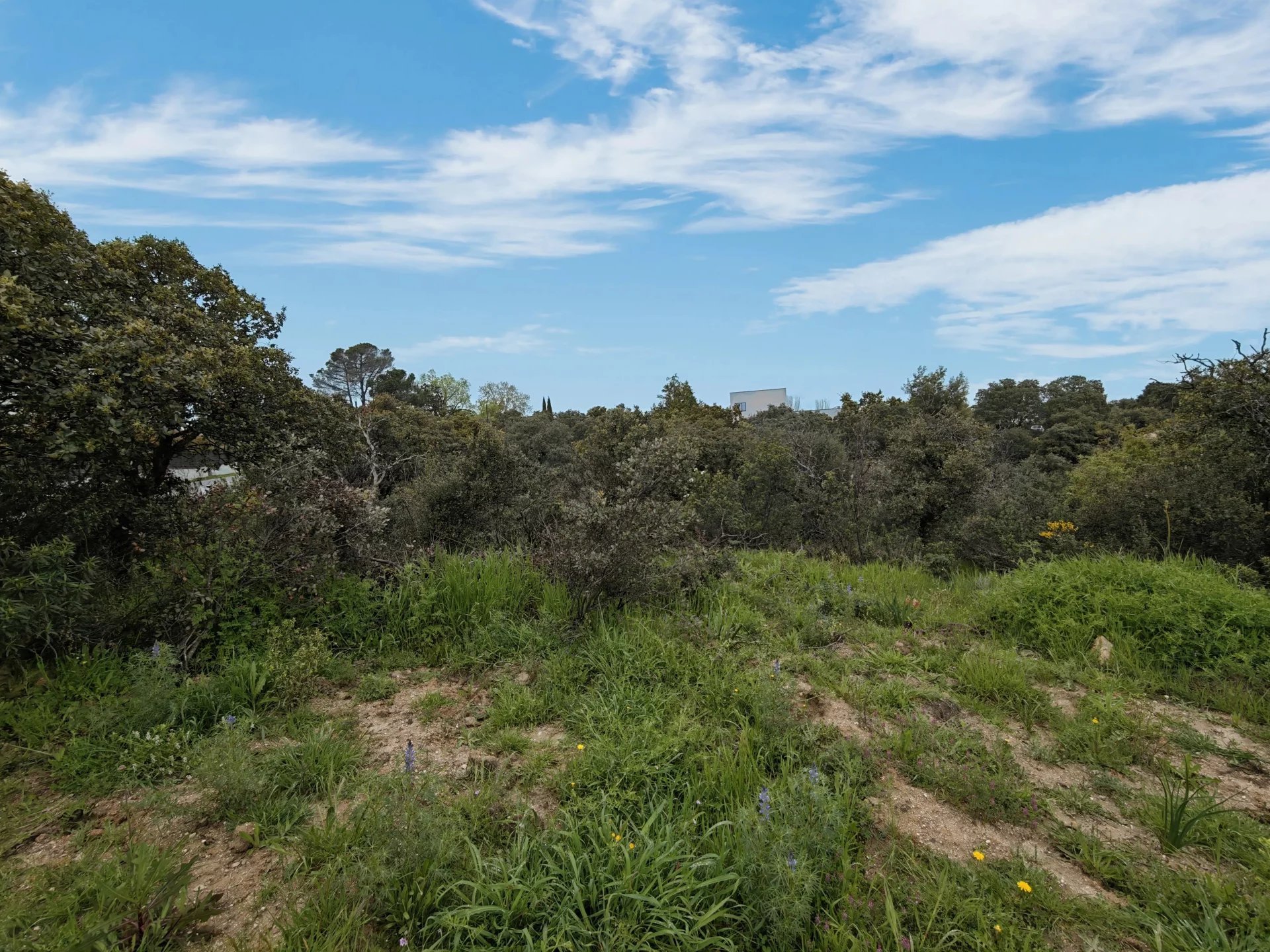 Vente Terrain Ciudalcampo