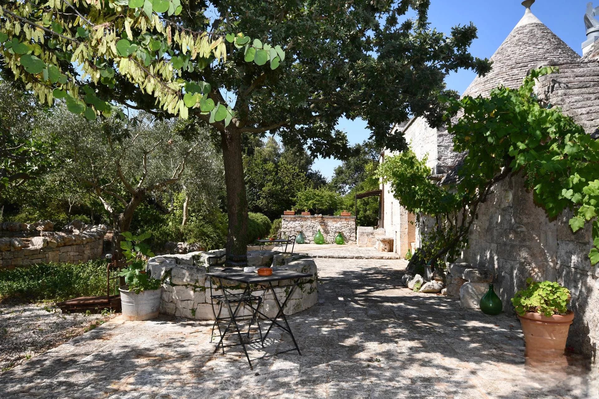 Sale Property Martina Franca