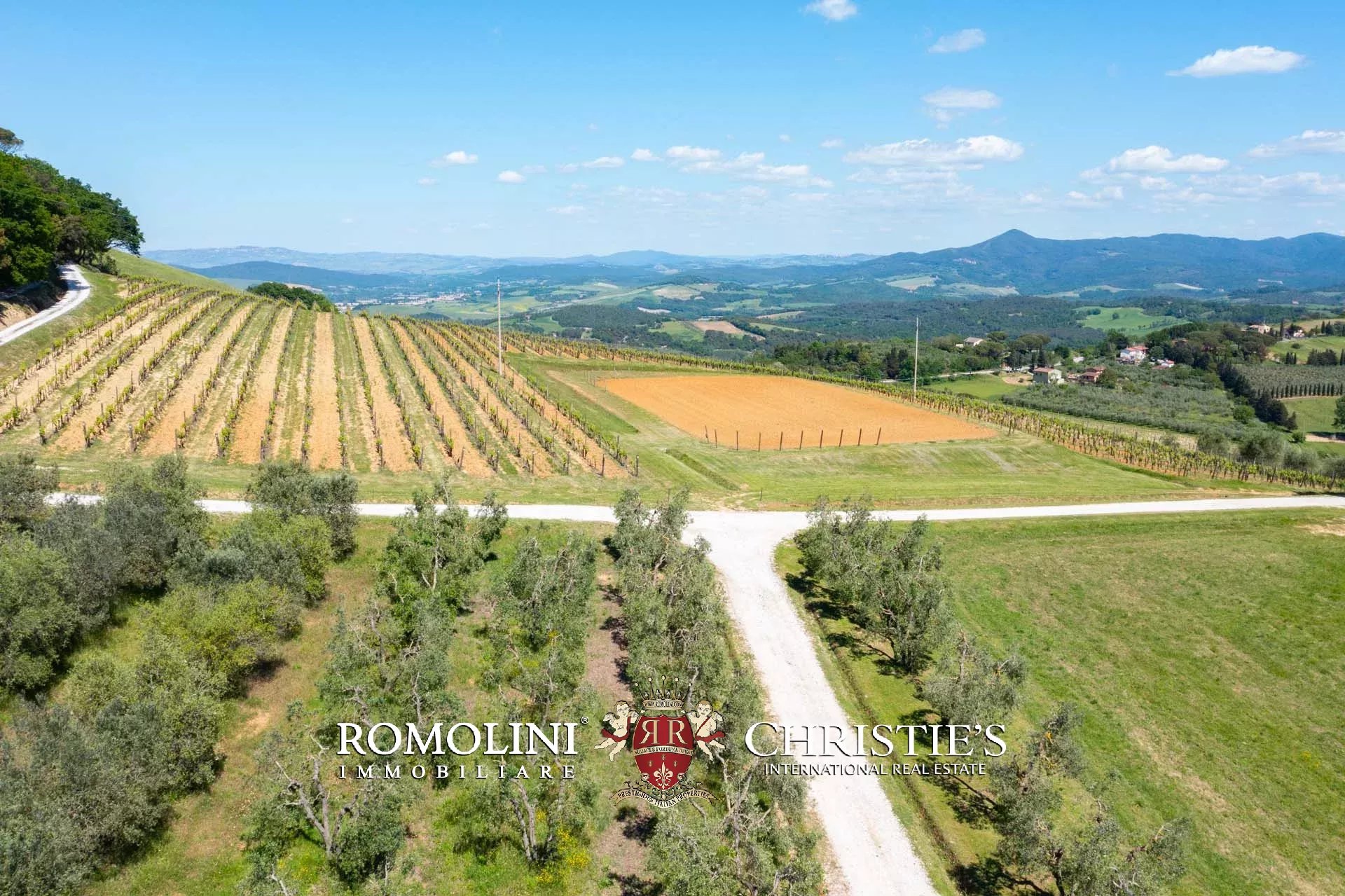 EQUESTRIAN SEA VIEW WINE ESTATE WITH VINEYARDS FOR SALE CLOSE TO BOLGHERI, TUSCANY
