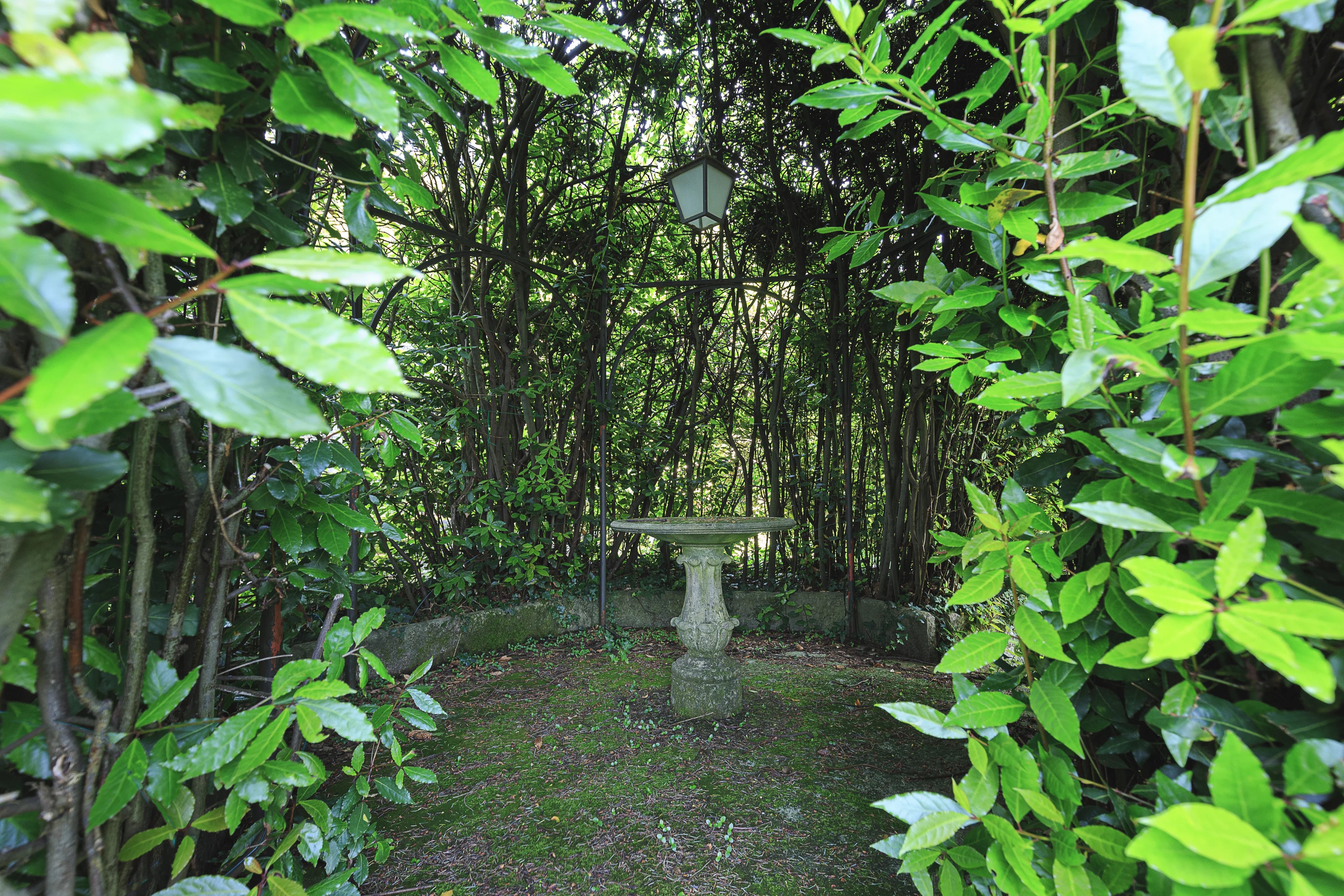 Villa D'Epoca with 7500 park - picture 10 title=