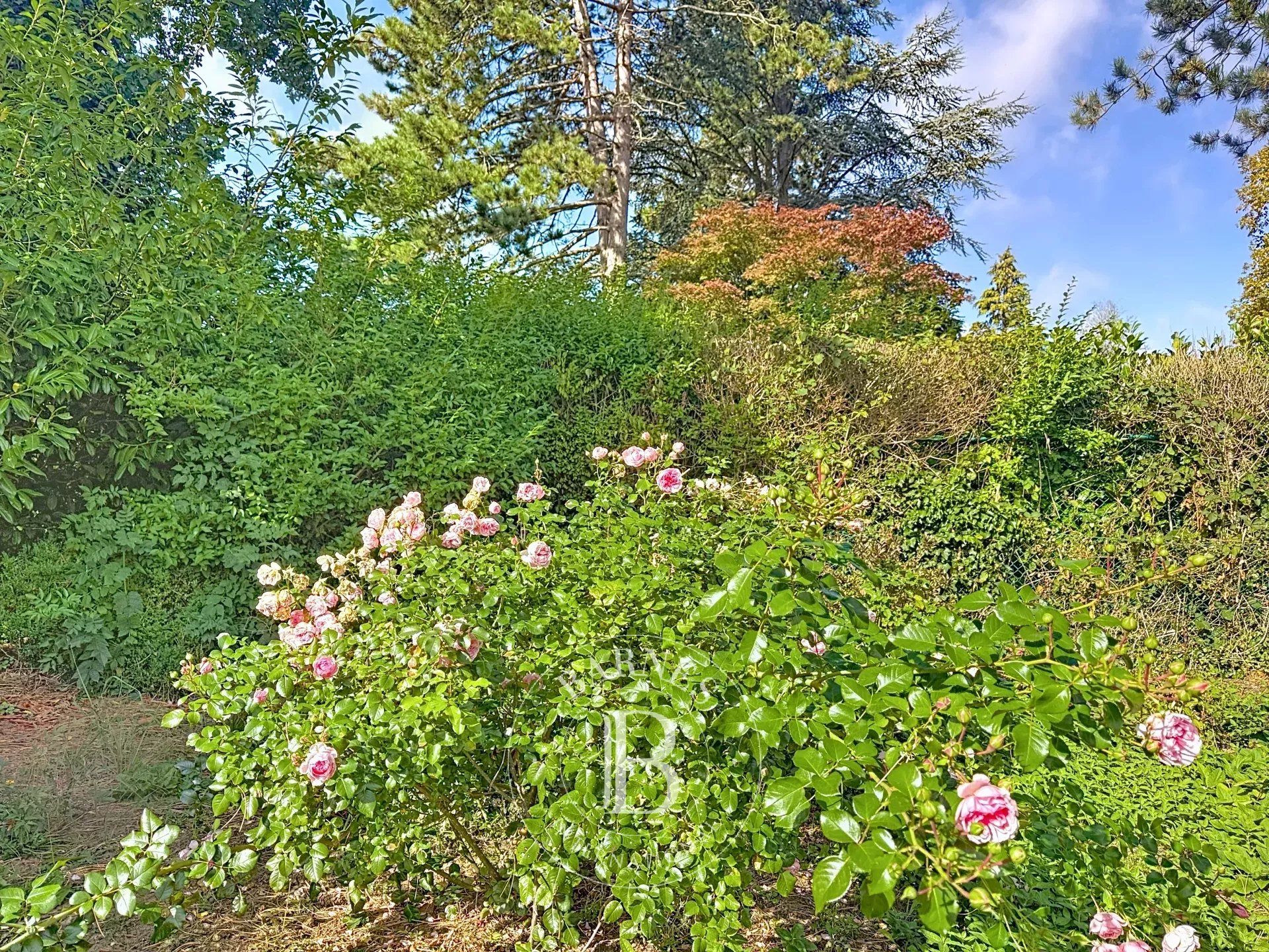 Rhode-Saint-Genèse, Former Golf, Magnificent Villa