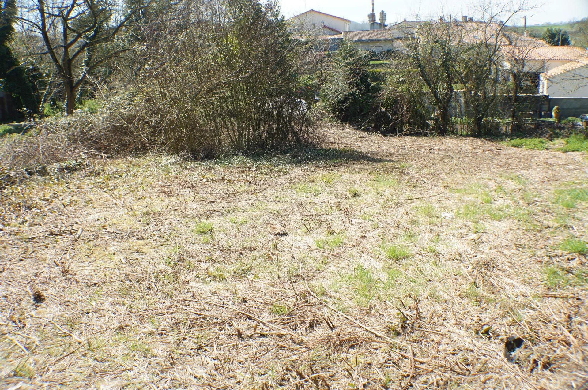 Vente Terrain Antigny