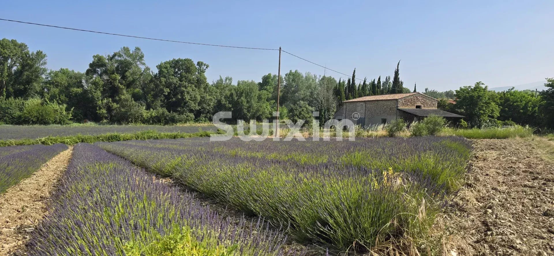 Agence immobilière de THIERRY VEYRADIER AGENCE IMMOBILIER