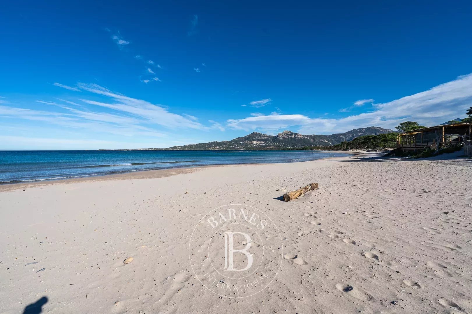 Exclusivité, Calvi, villa 6 chambres, piscine, vue mer, centre-ville et plage à pied