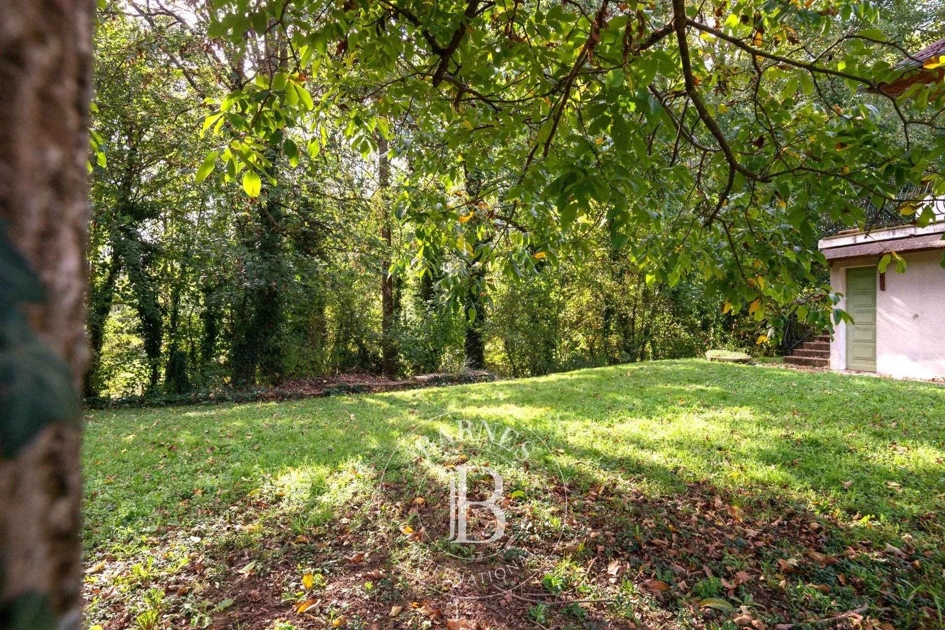 Ev Écully - picture 13