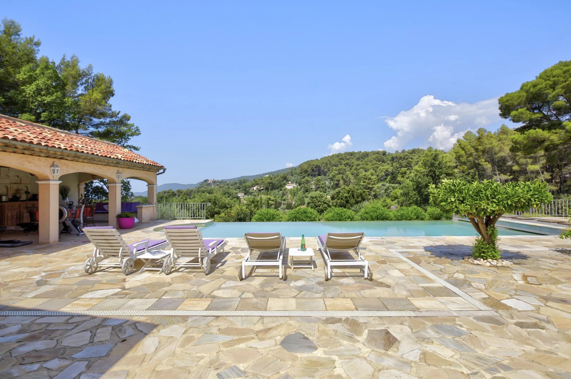 Magnificent property - Cabris