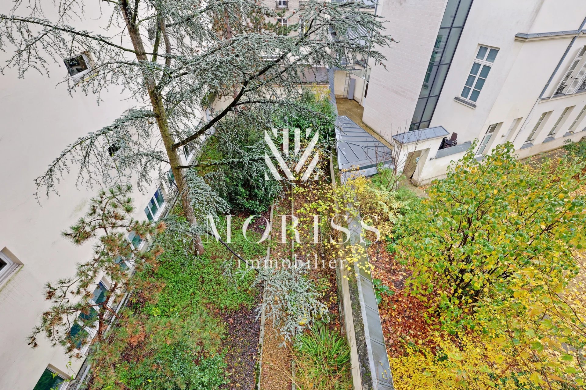 Grand studio Lumineux à Denfert Rochereau - Image Array