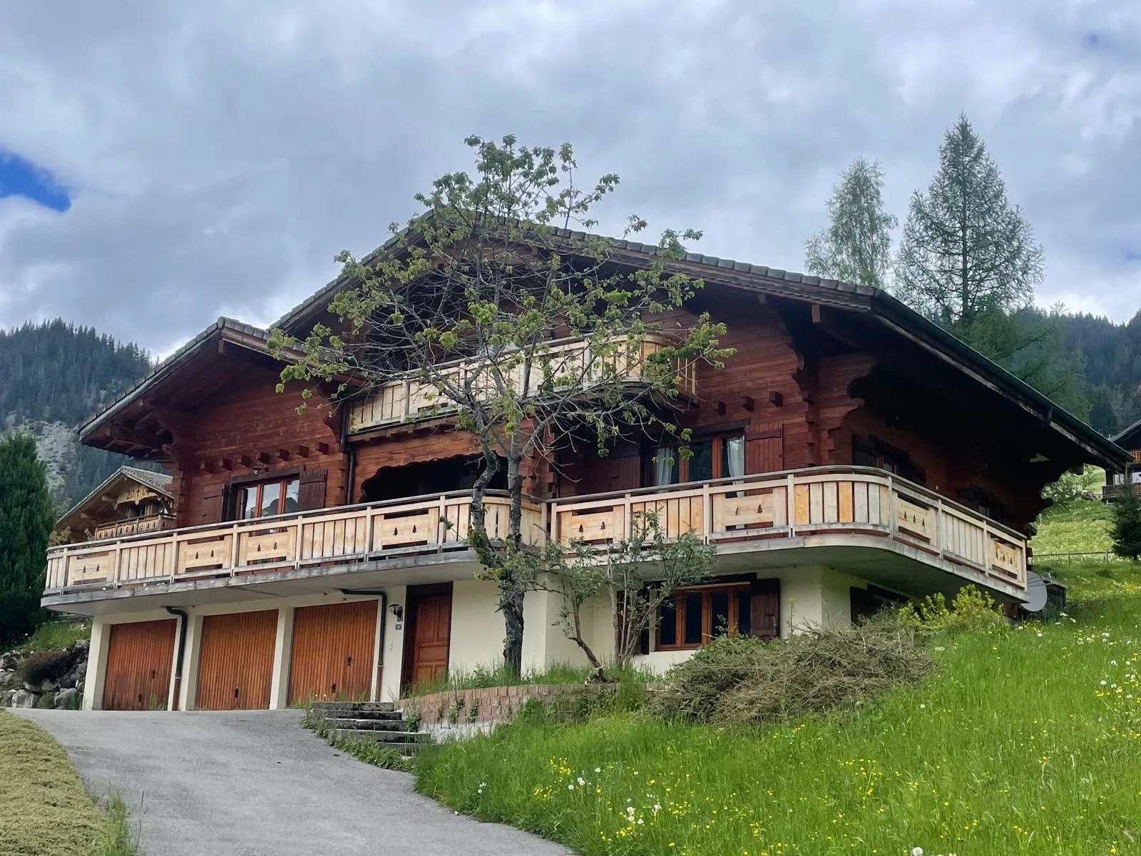 Vente Chalet Châtel