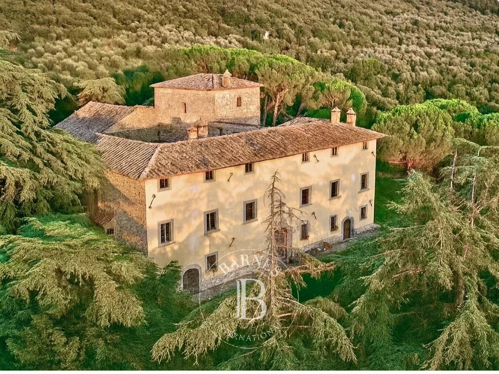 Château Arezzo  -  ref 86336934 (picture 3)