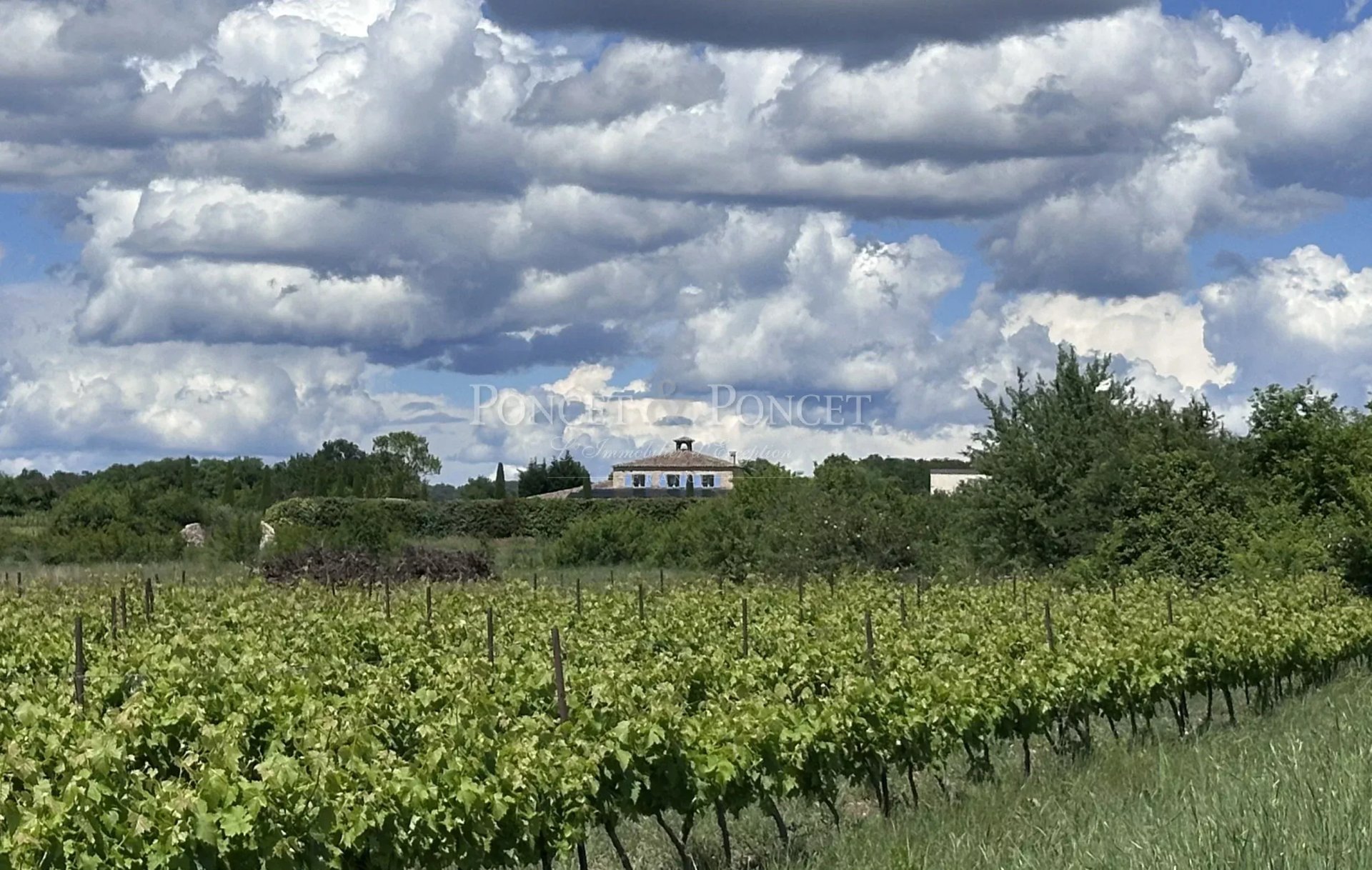 6 Bedroom Vineyard's Image 3