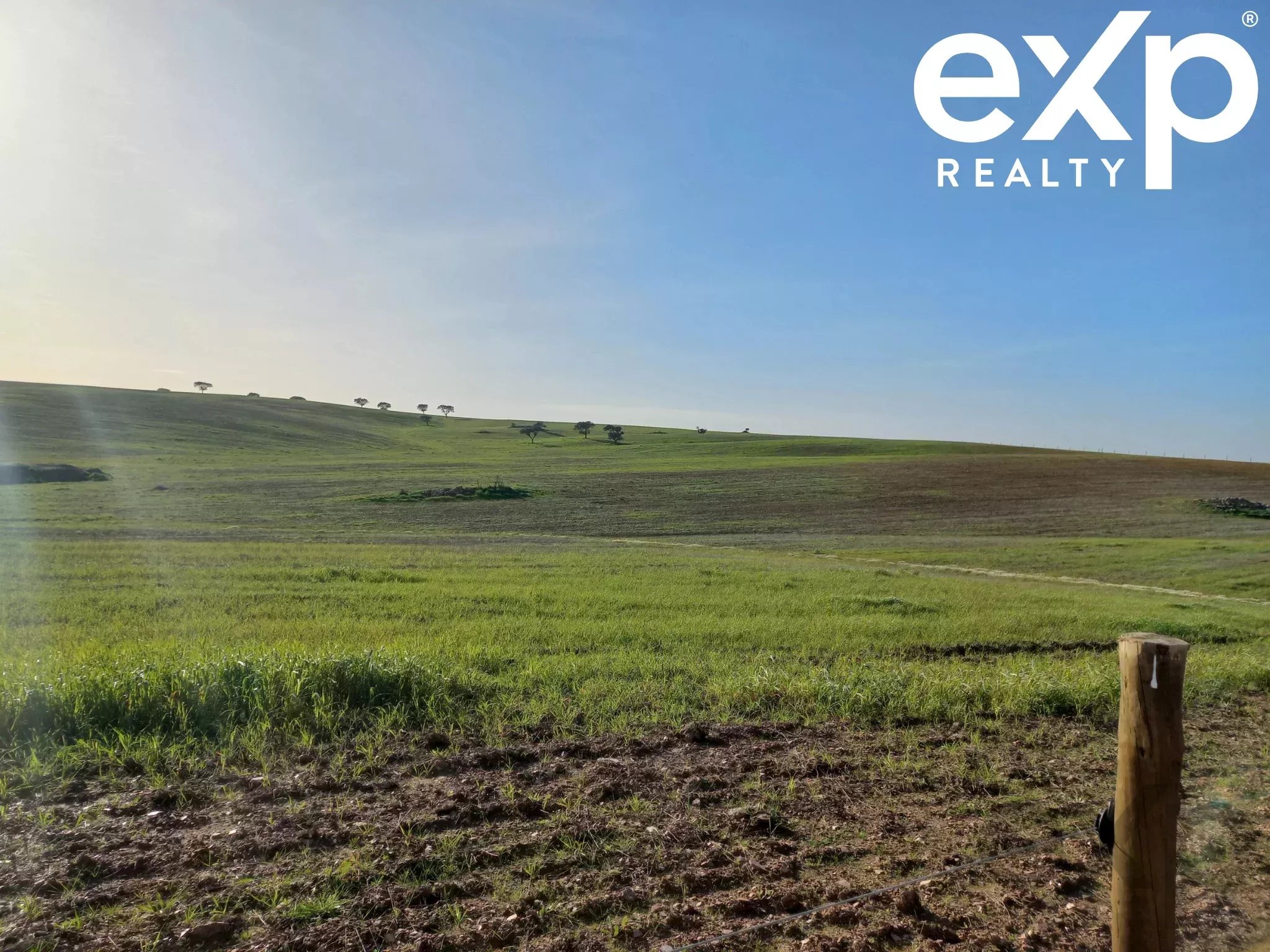 Herdade para Gado -Baixo Alentejo (Insurance for investors, funds and ICNF) 86742404 image 20