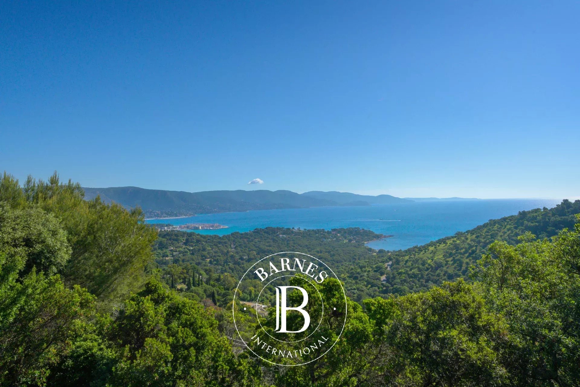 Villa Bormes-les-Mimosas  -  ref 84731910 (picture 1)