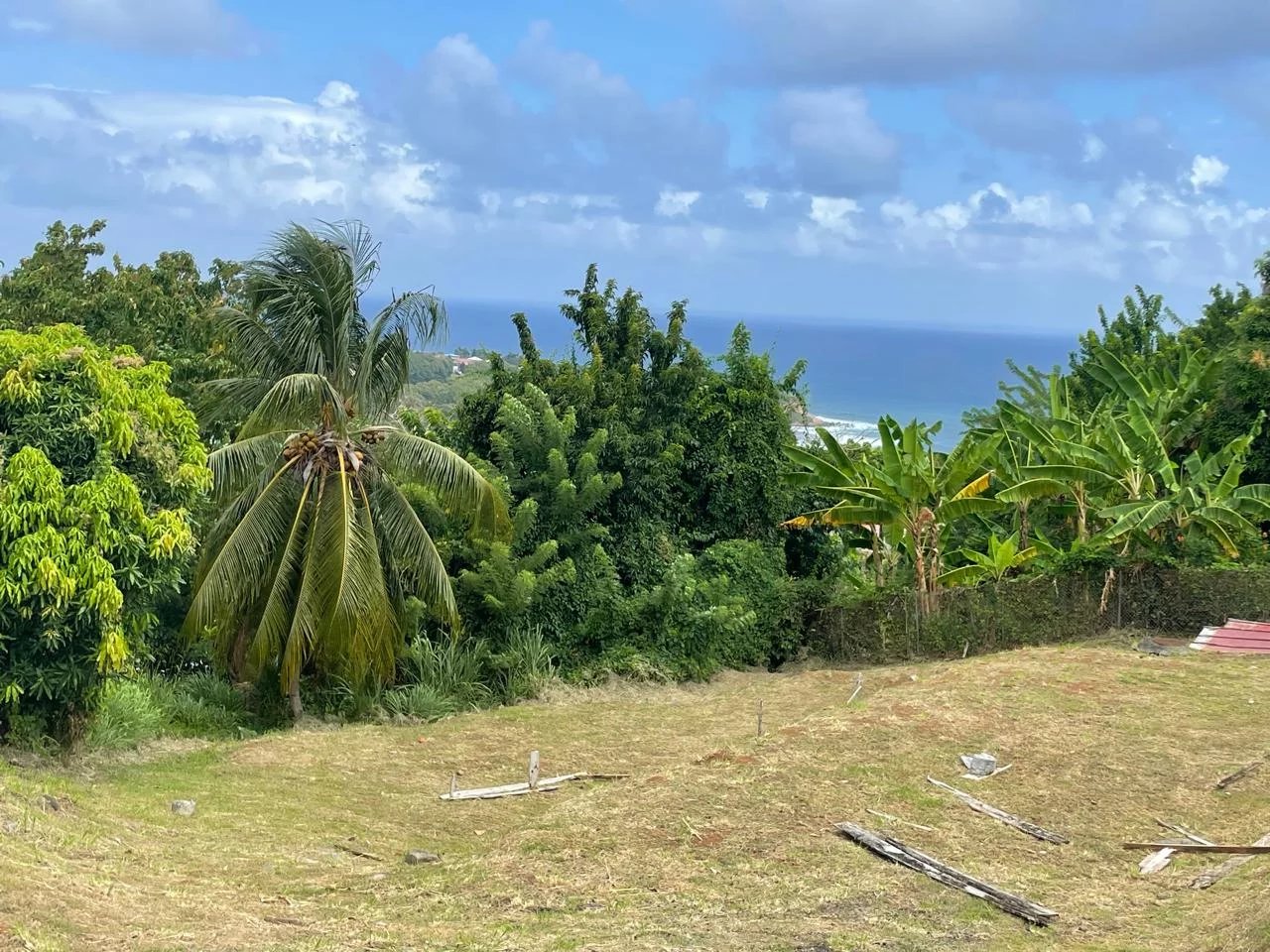 Beau Terrain avec vue mer