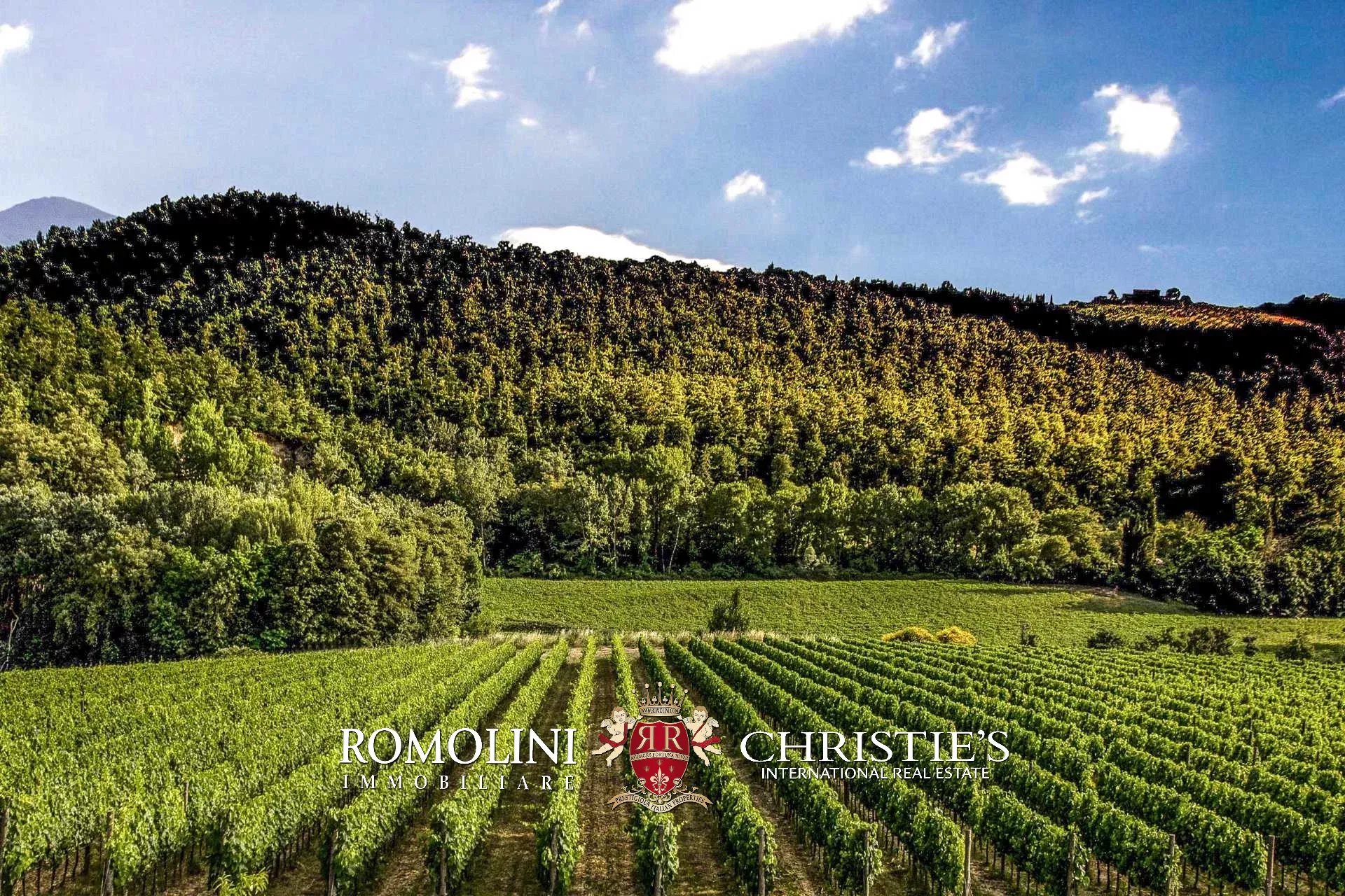 3 Bedroom Vineyard's Image 16