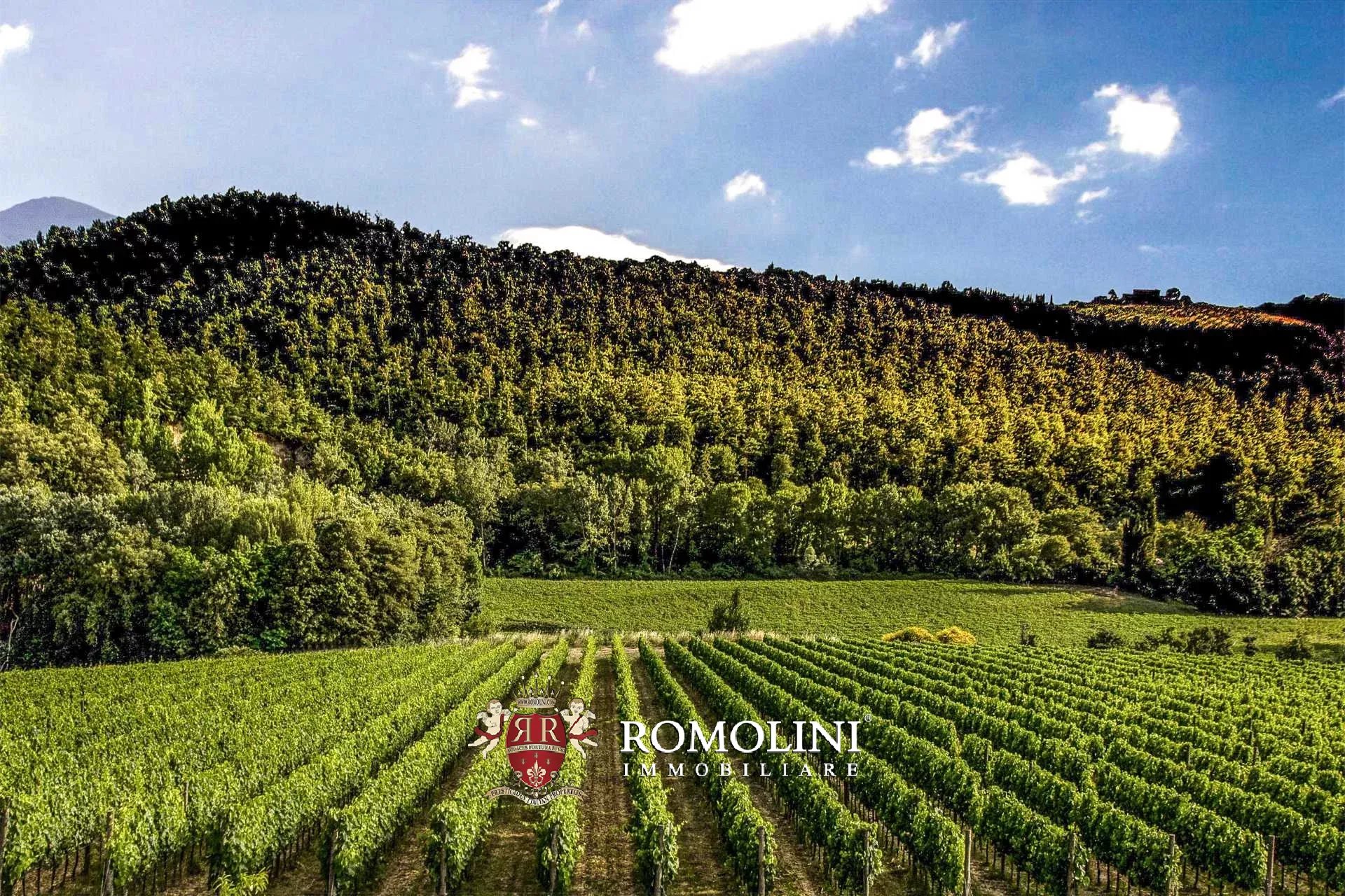 3 Bedroom Vineyard's Image 16