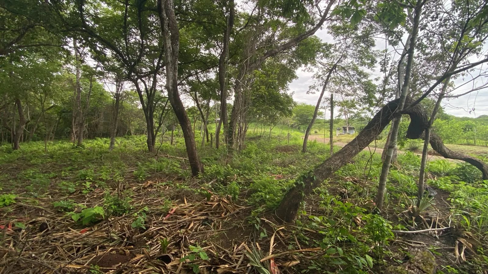 Sale Building land Cartagena