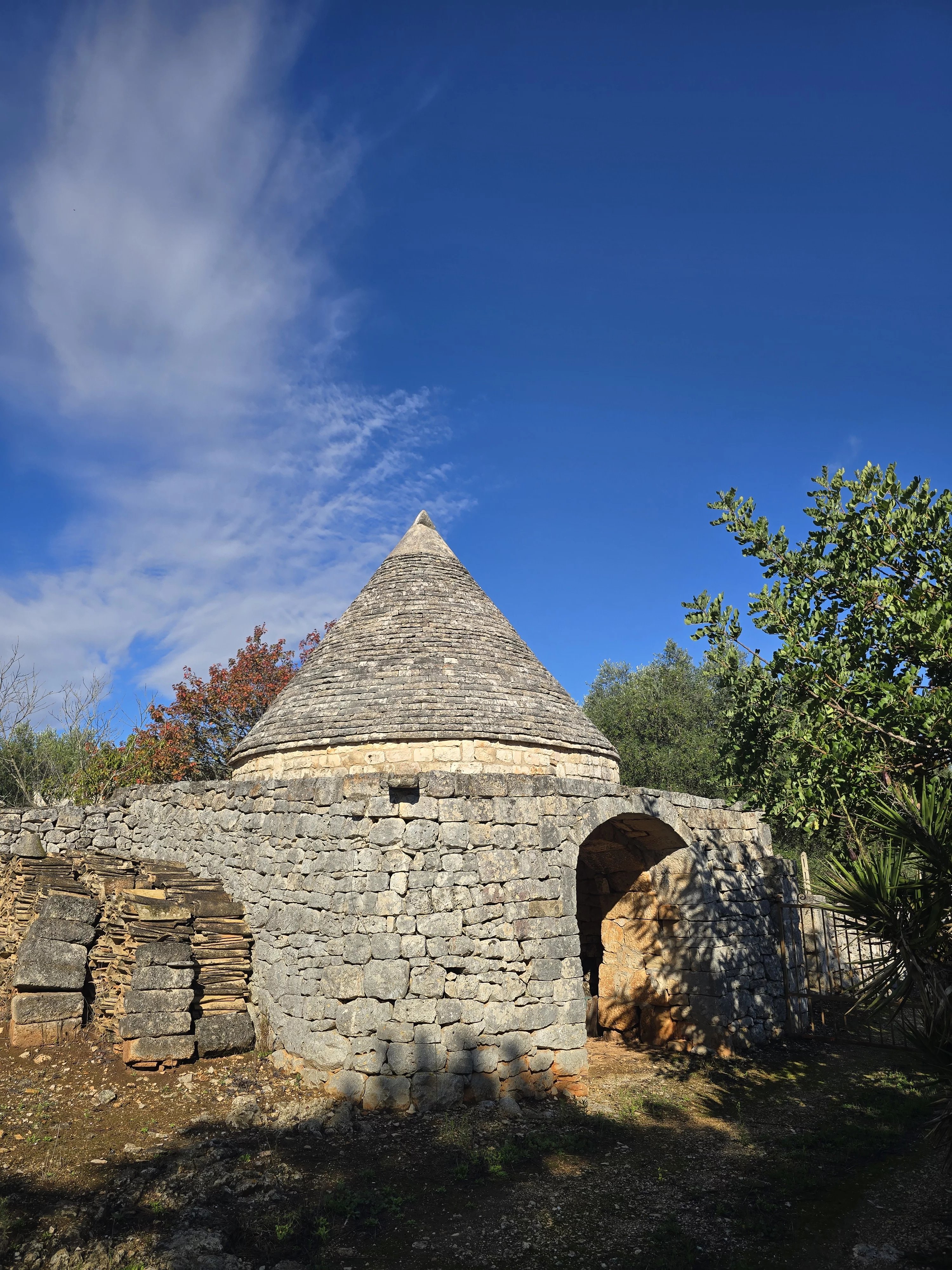Venta Granja Ceglie Messapica