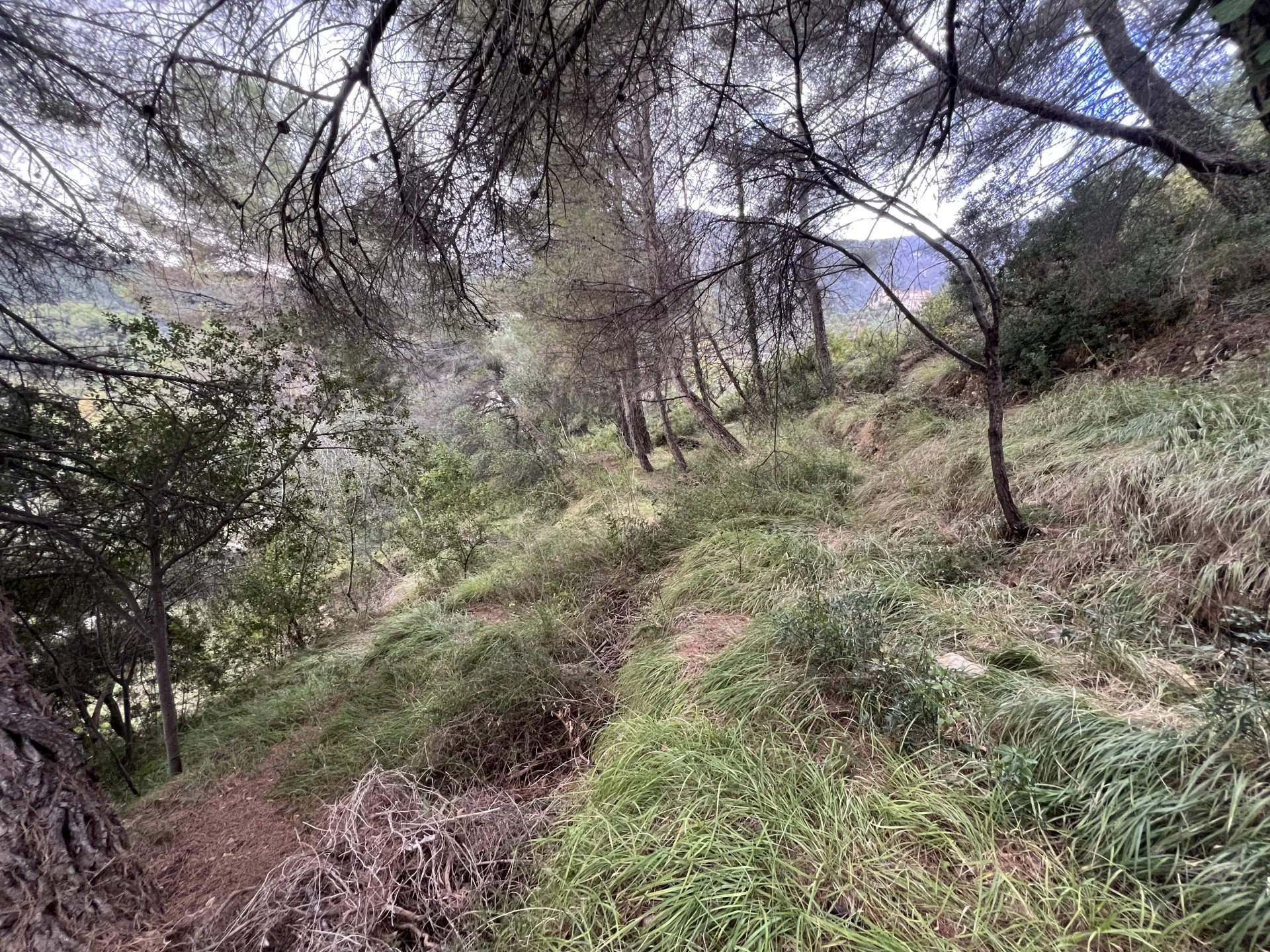 Vente Terrain constructible Menton