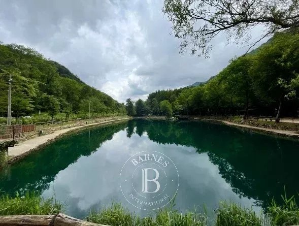 Malikane Valganna - picture 23