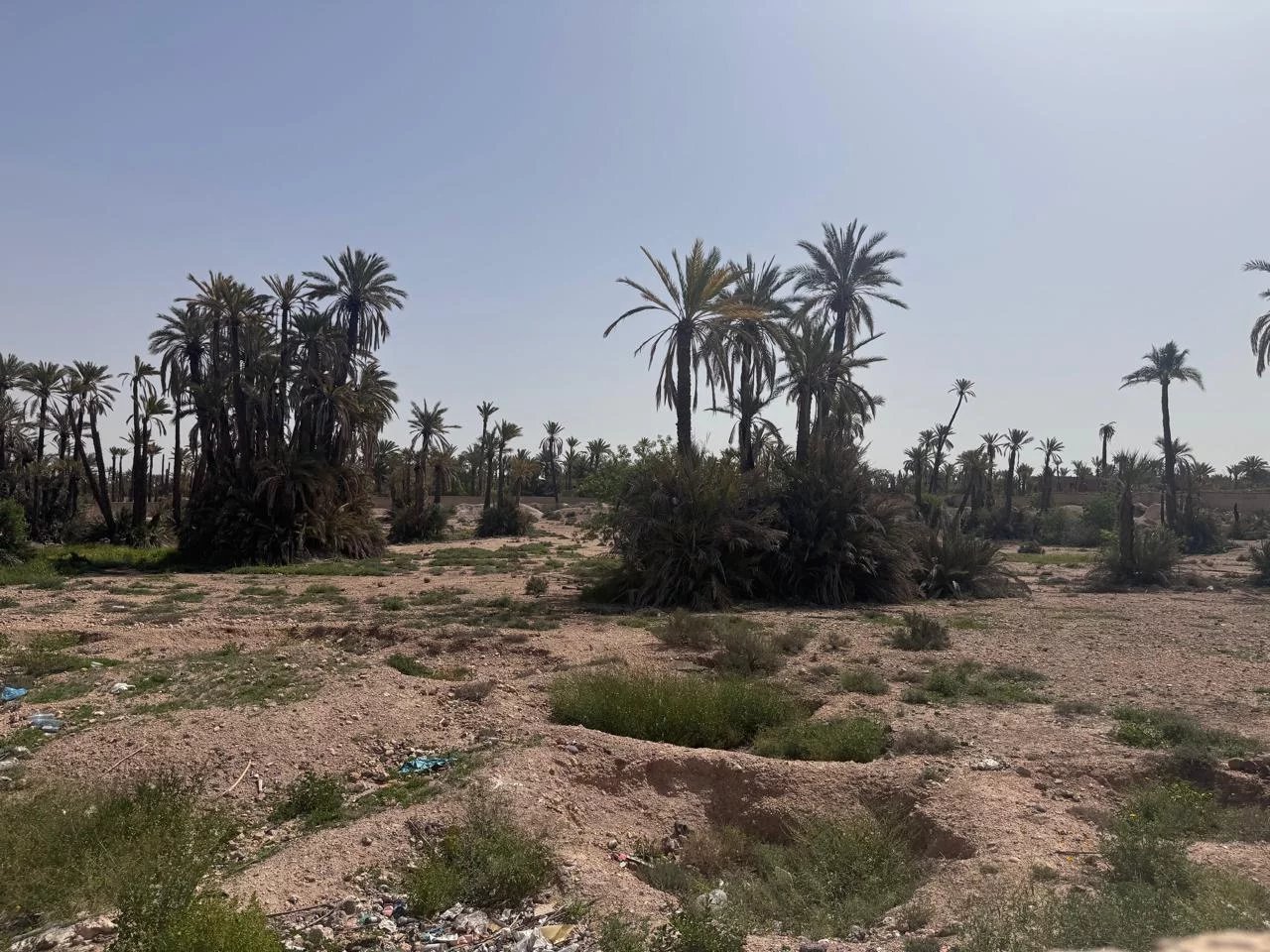 Sale Plot of land Marrakesh Palmeraie