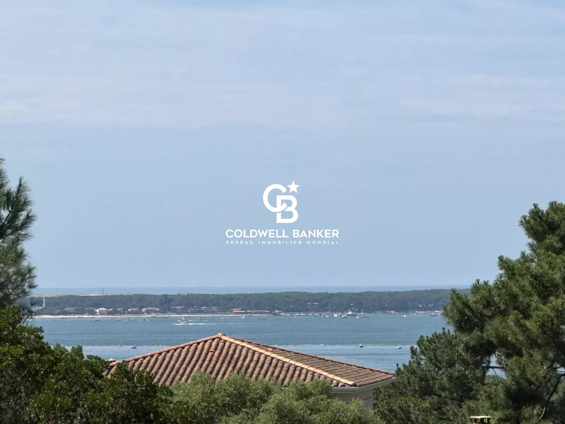 Agence immobilière de Silver Coast Int. Realty