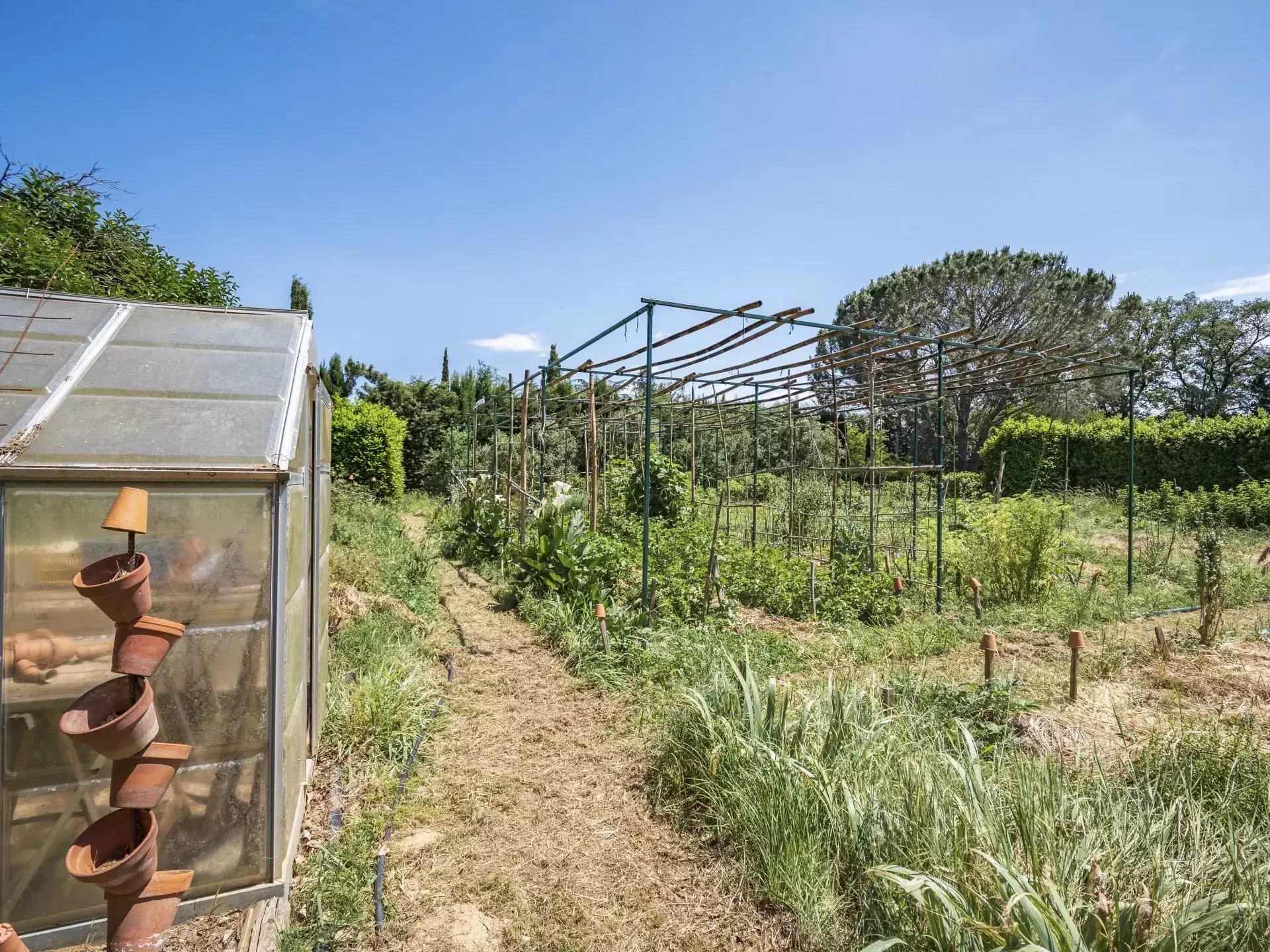 UITZONDERLIJKE MAS, ZWEMBAD, TUIN 1.1HA, THUIR