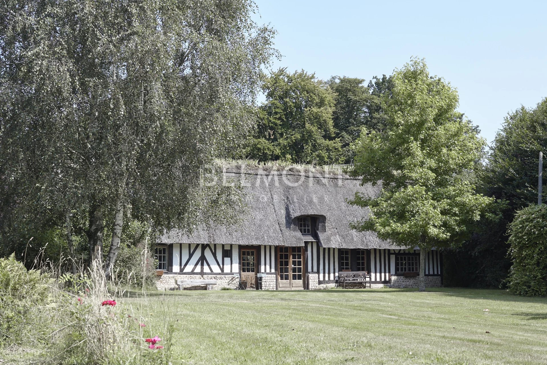 Agence immobilière de Belmont Immobilier