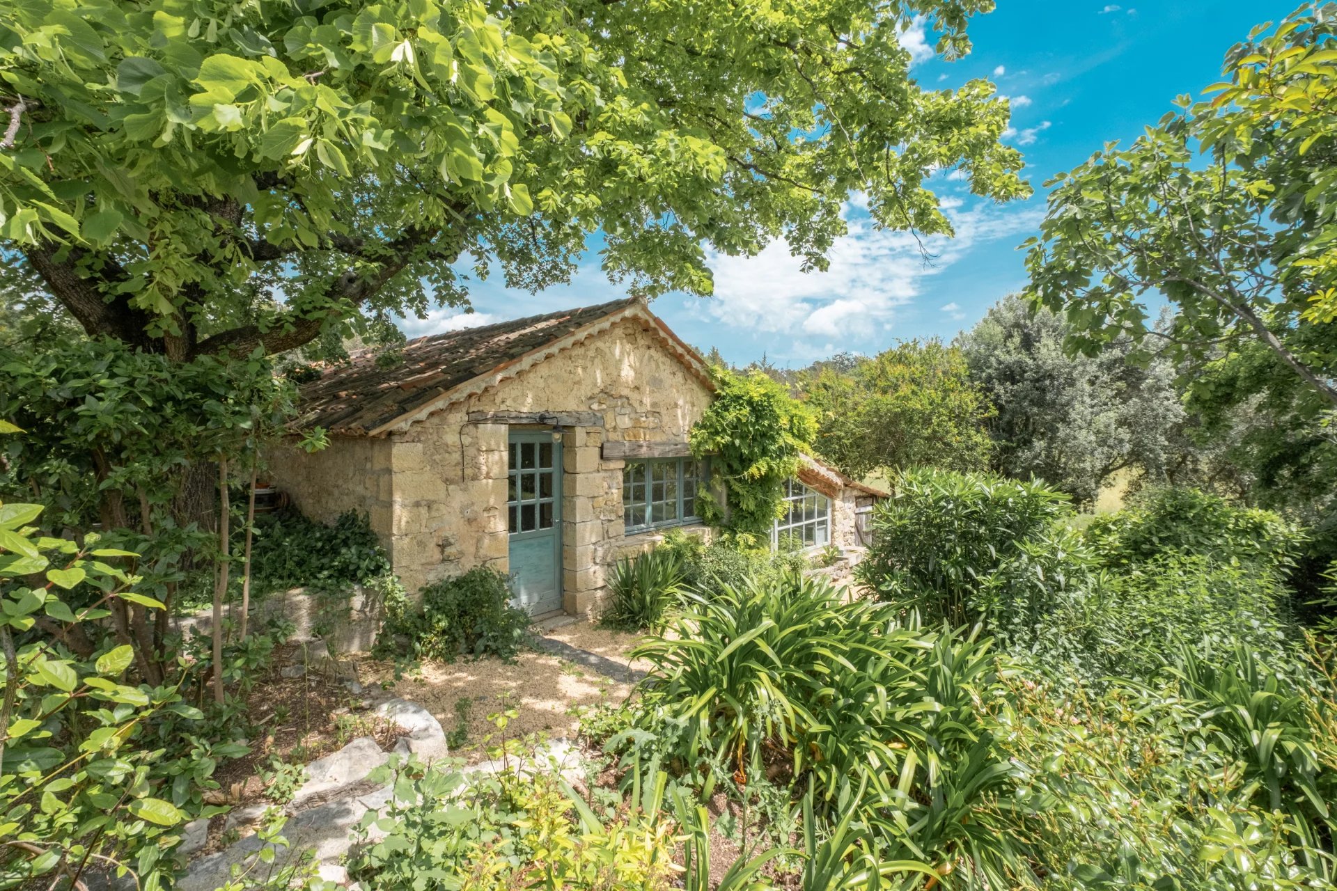 Great old Bastide with guest-house - Tourrettes