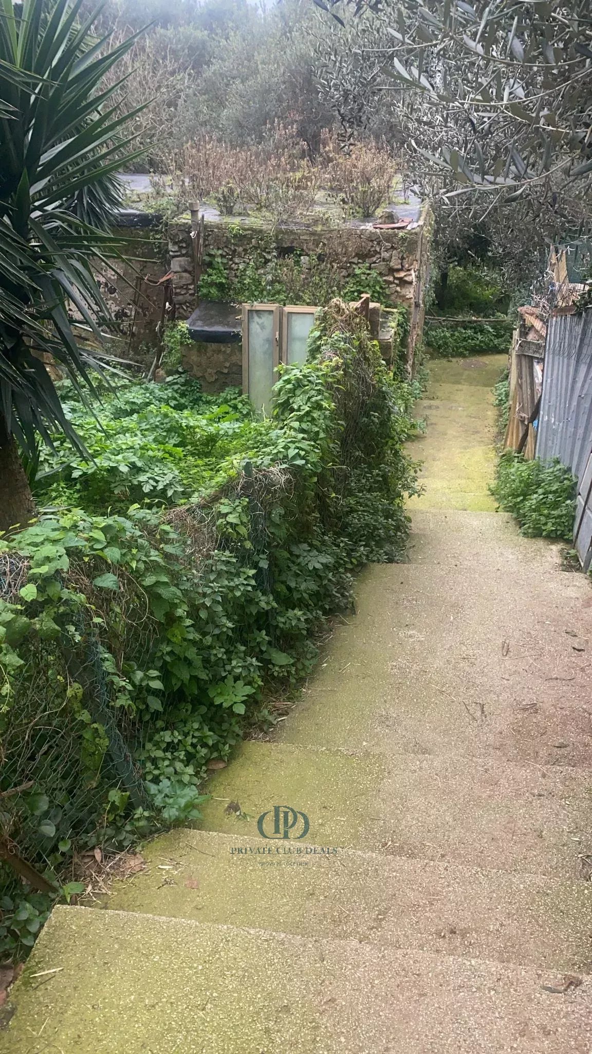 Kulübe Anacapri - picture 12