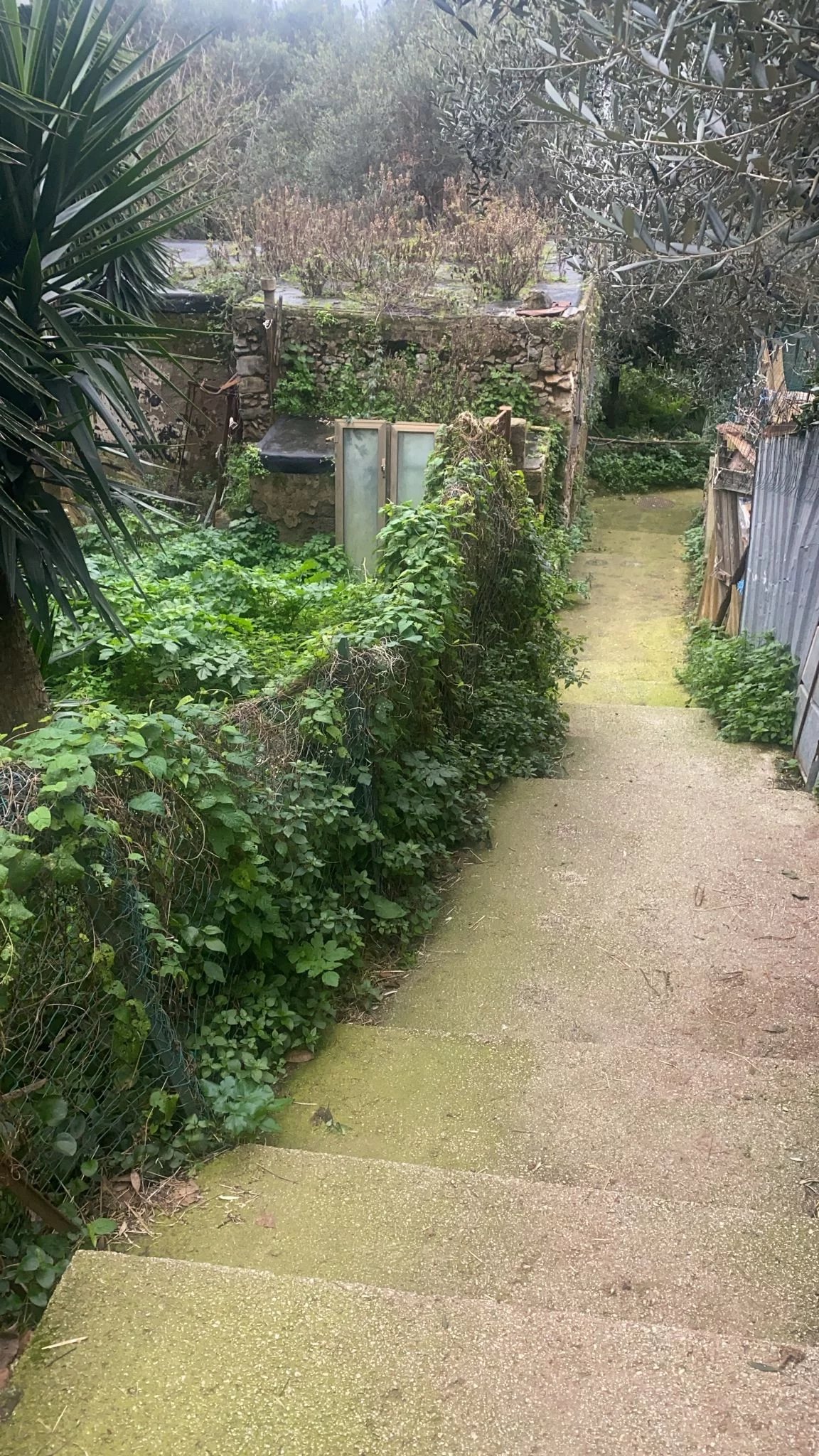 Casaletto à Anacapri - picture 12