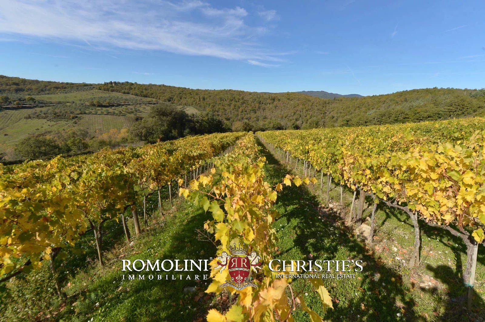 LUXURY HISTORICAL VILLA FOR SALE IN RADDA IN CHIANTI, TUSCANY