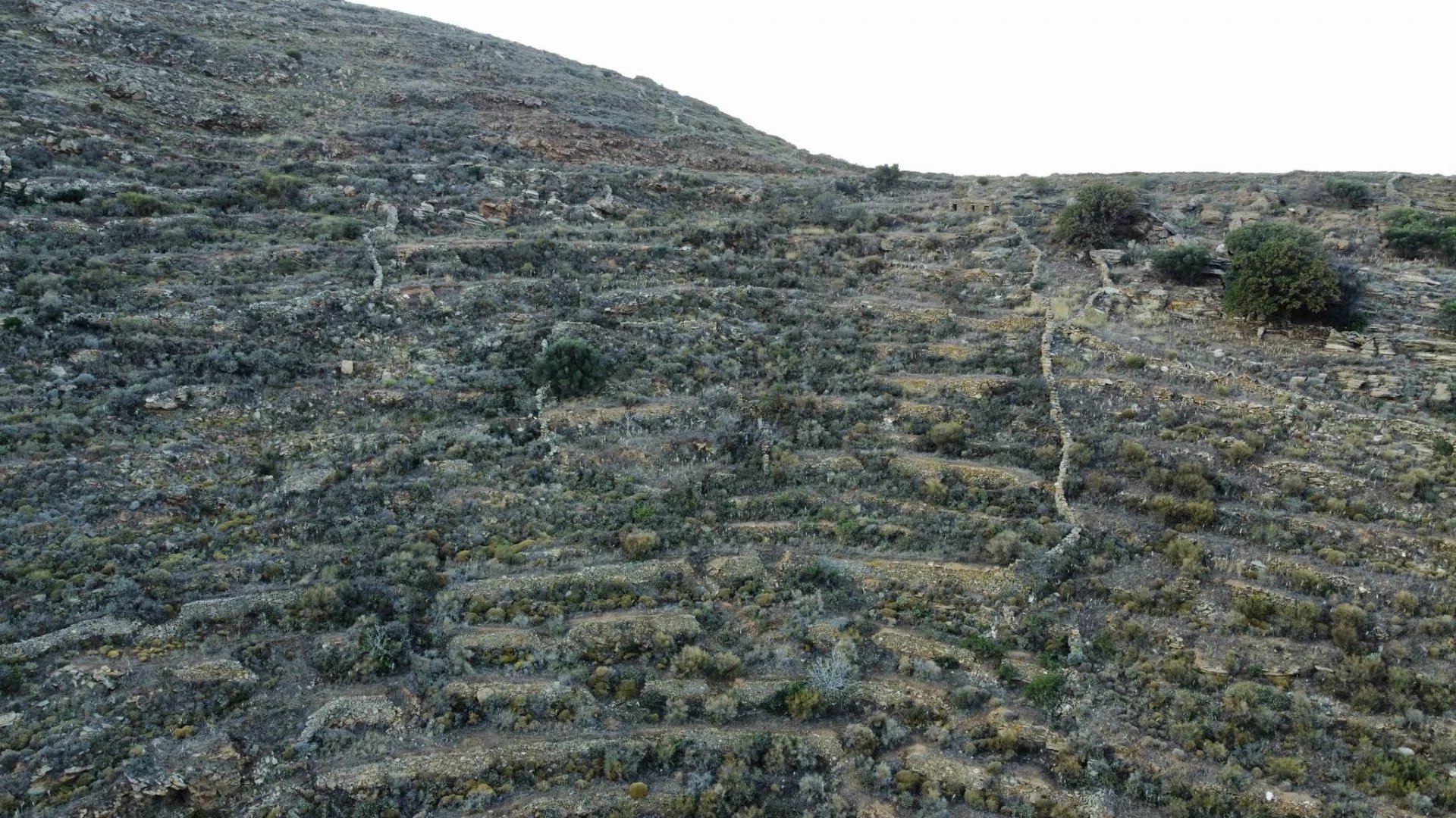 Εικόνα ιδιοκτησίας 7