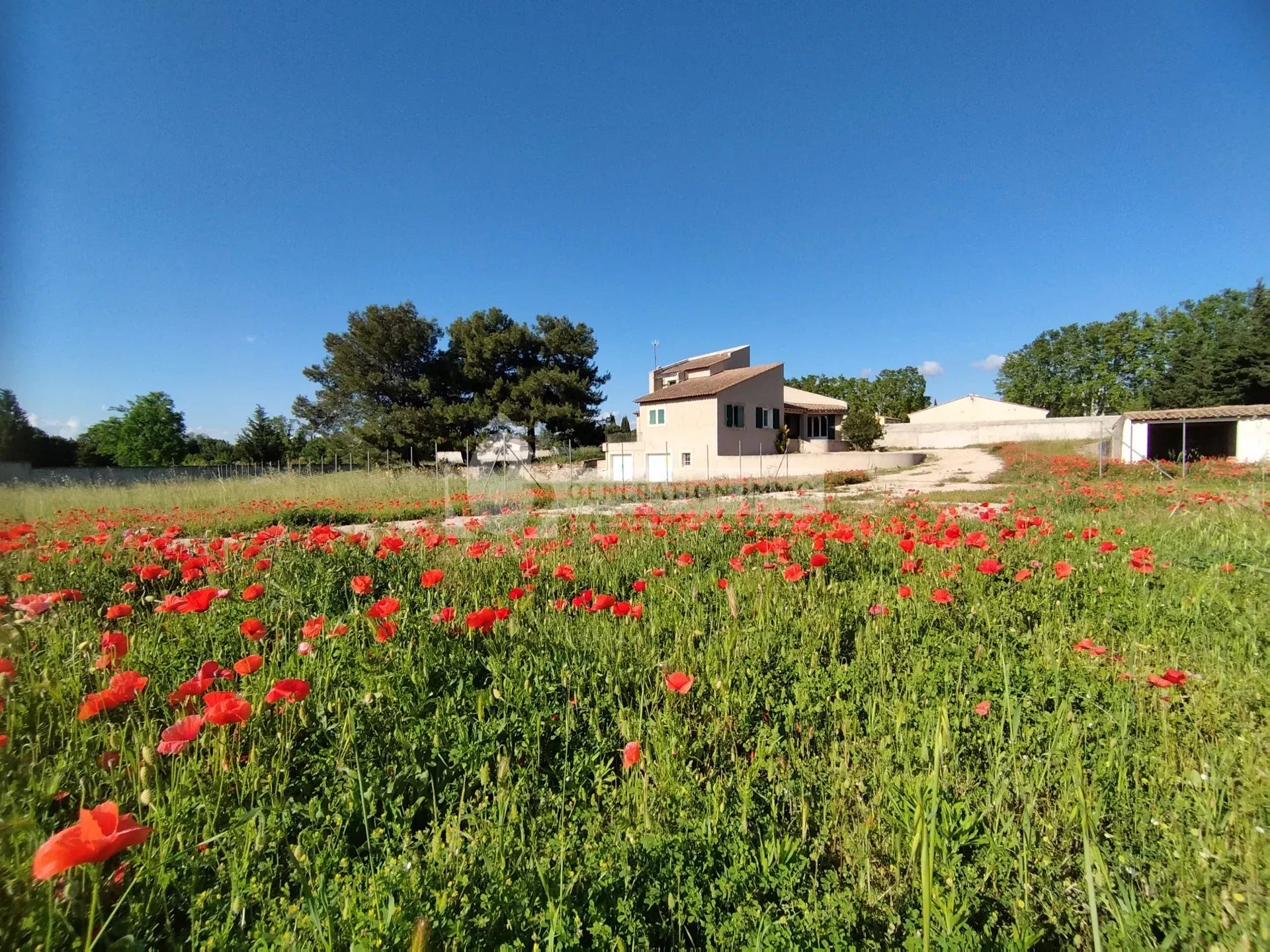 Agence immobilière de GÉNÉRATION IMMO