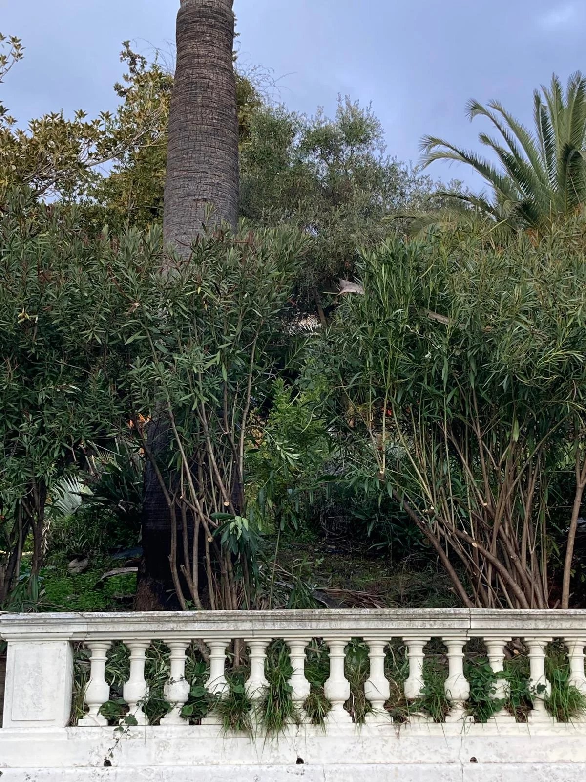 Vendita Villa - Ospedaletti Circuito - Italia